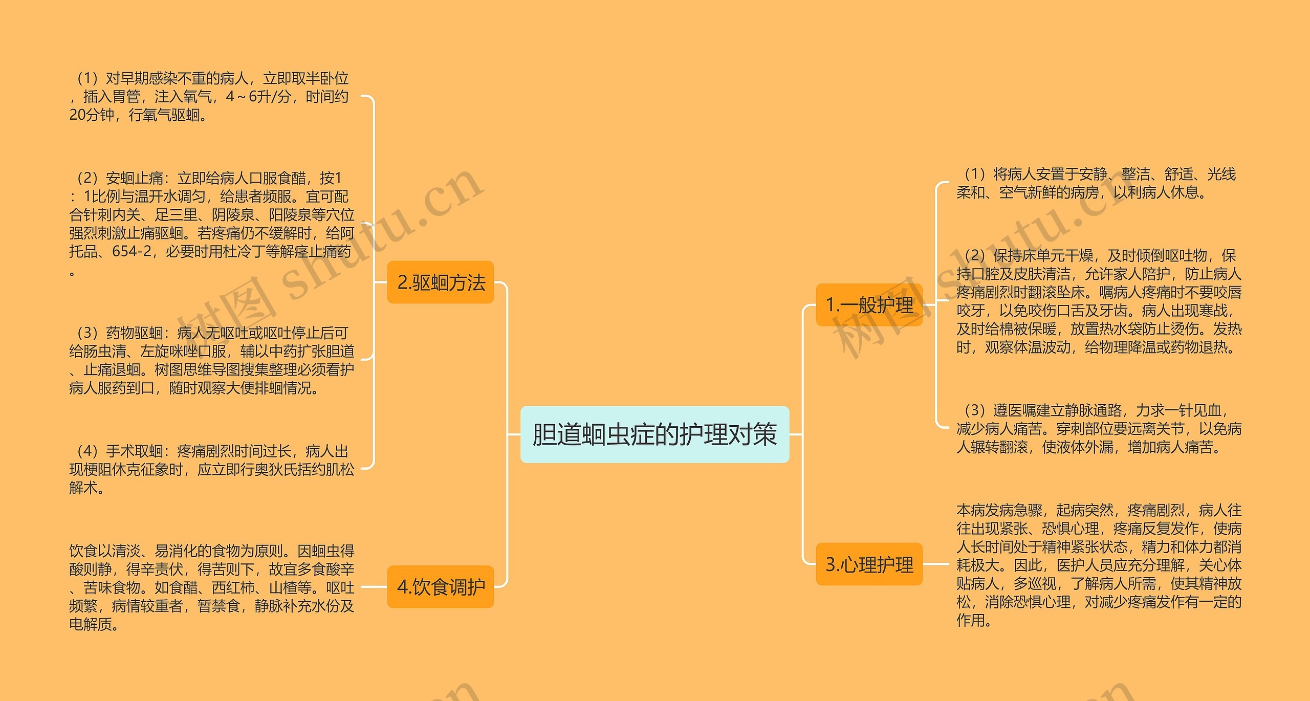 胆道蛔虫症的护理对策思维导图