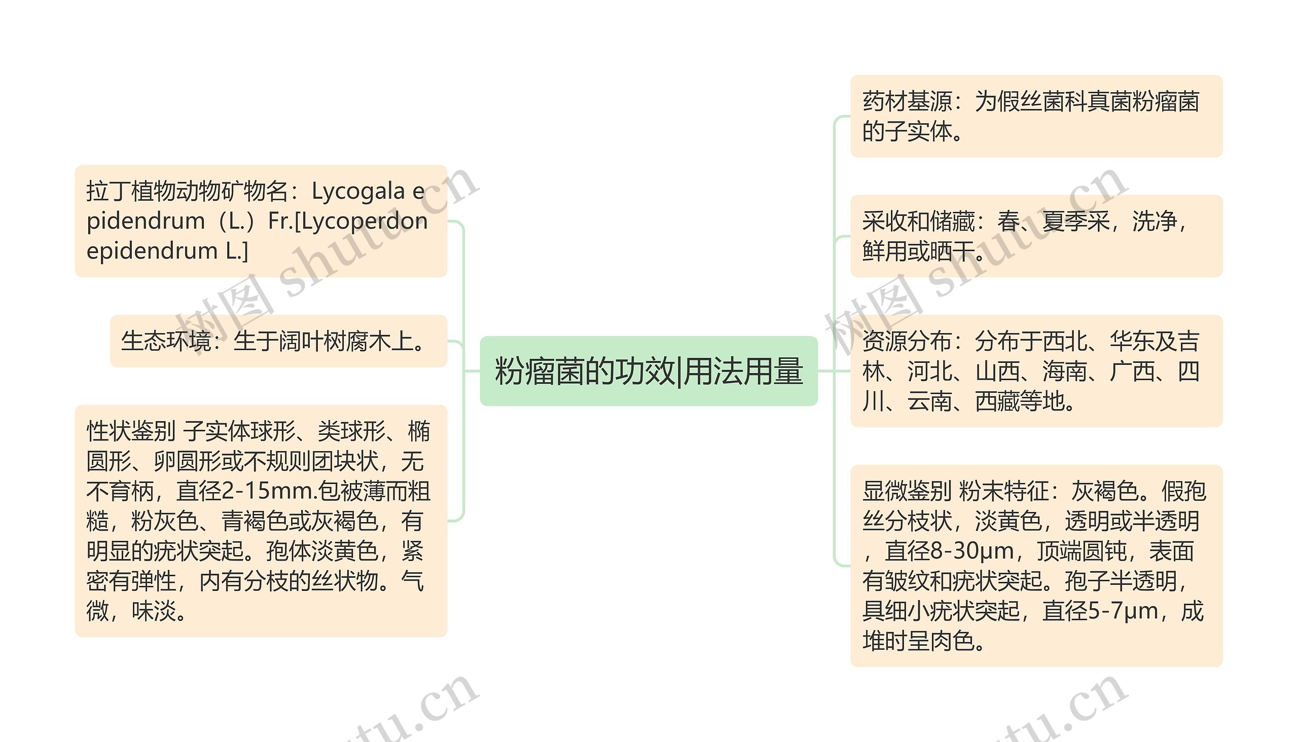 粉瘤菌的功效|用法用量思维导图