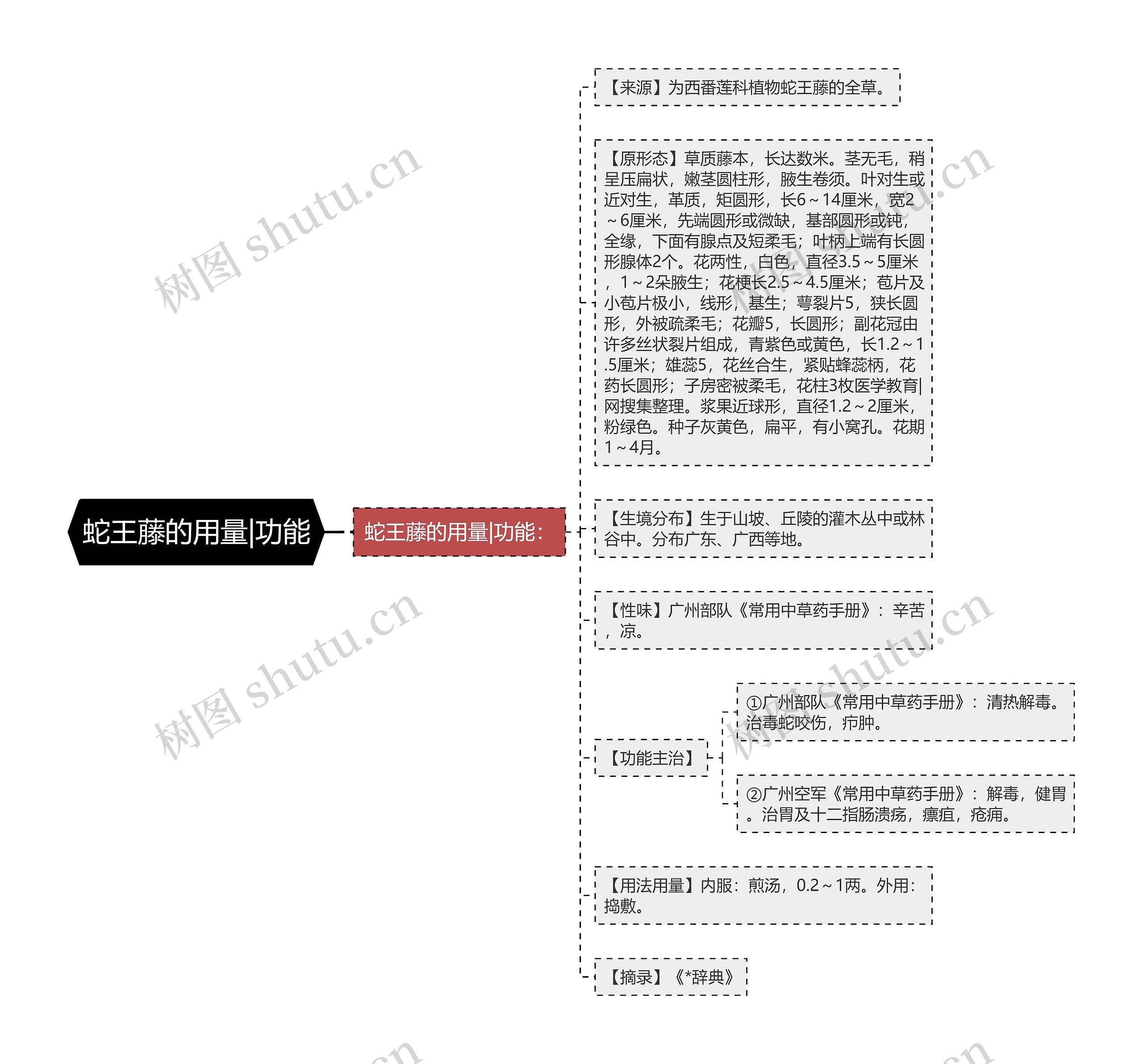 蛇王藤的用量|功能思维导图