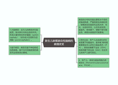 新生儿缺氧缺血性脑病的病理改变