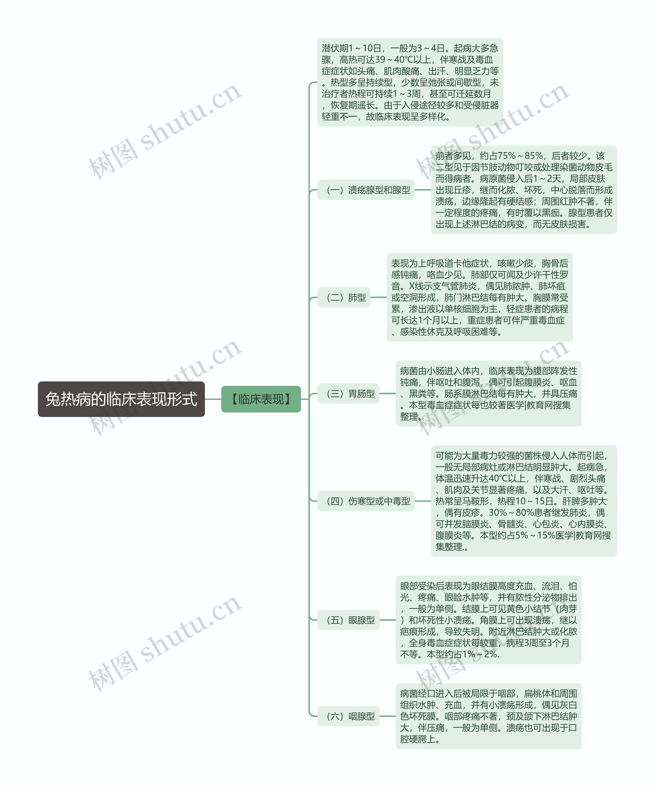 兔热病的临床表现形式思维导图