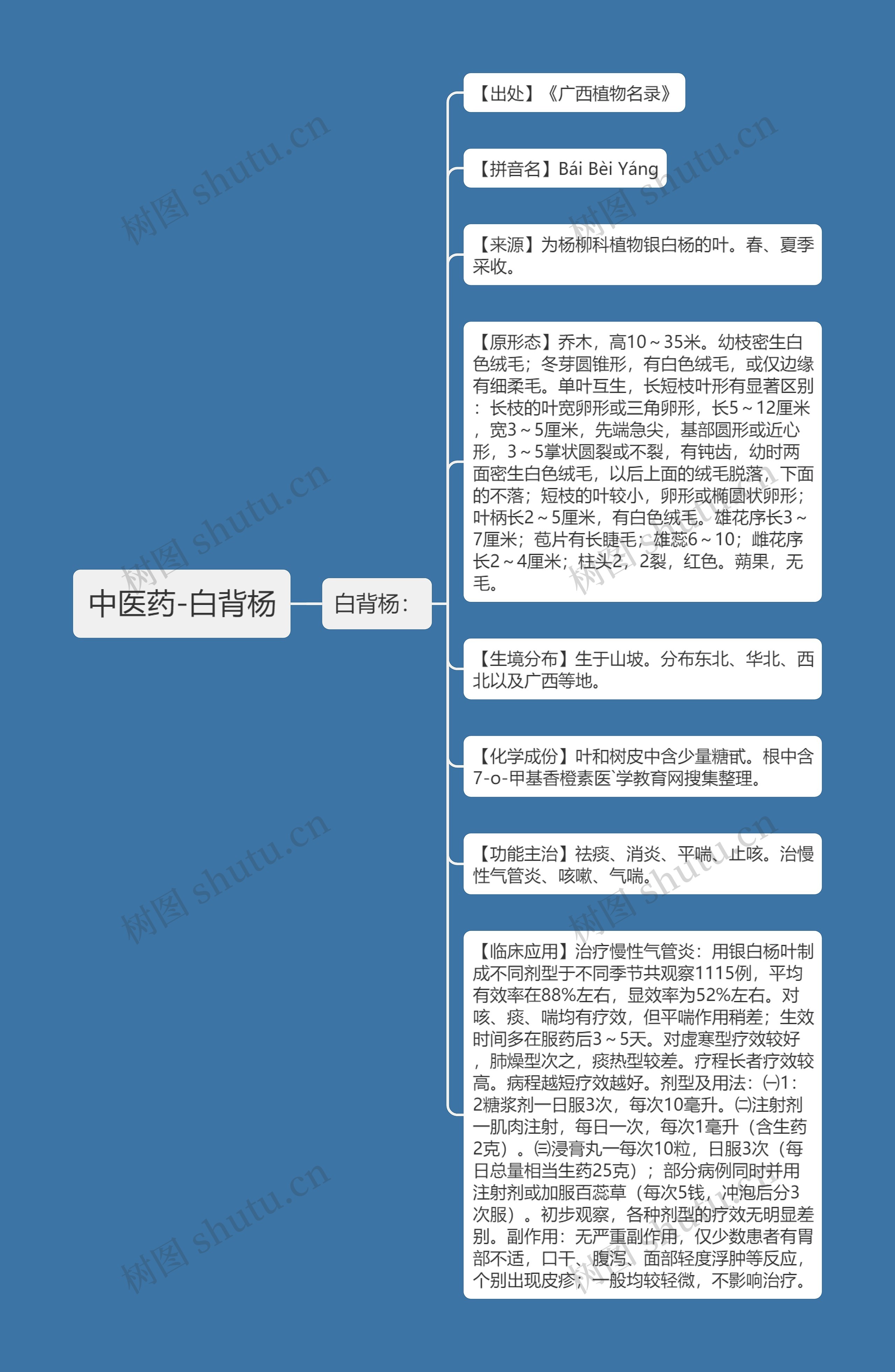 中医药-白背杨思维导图