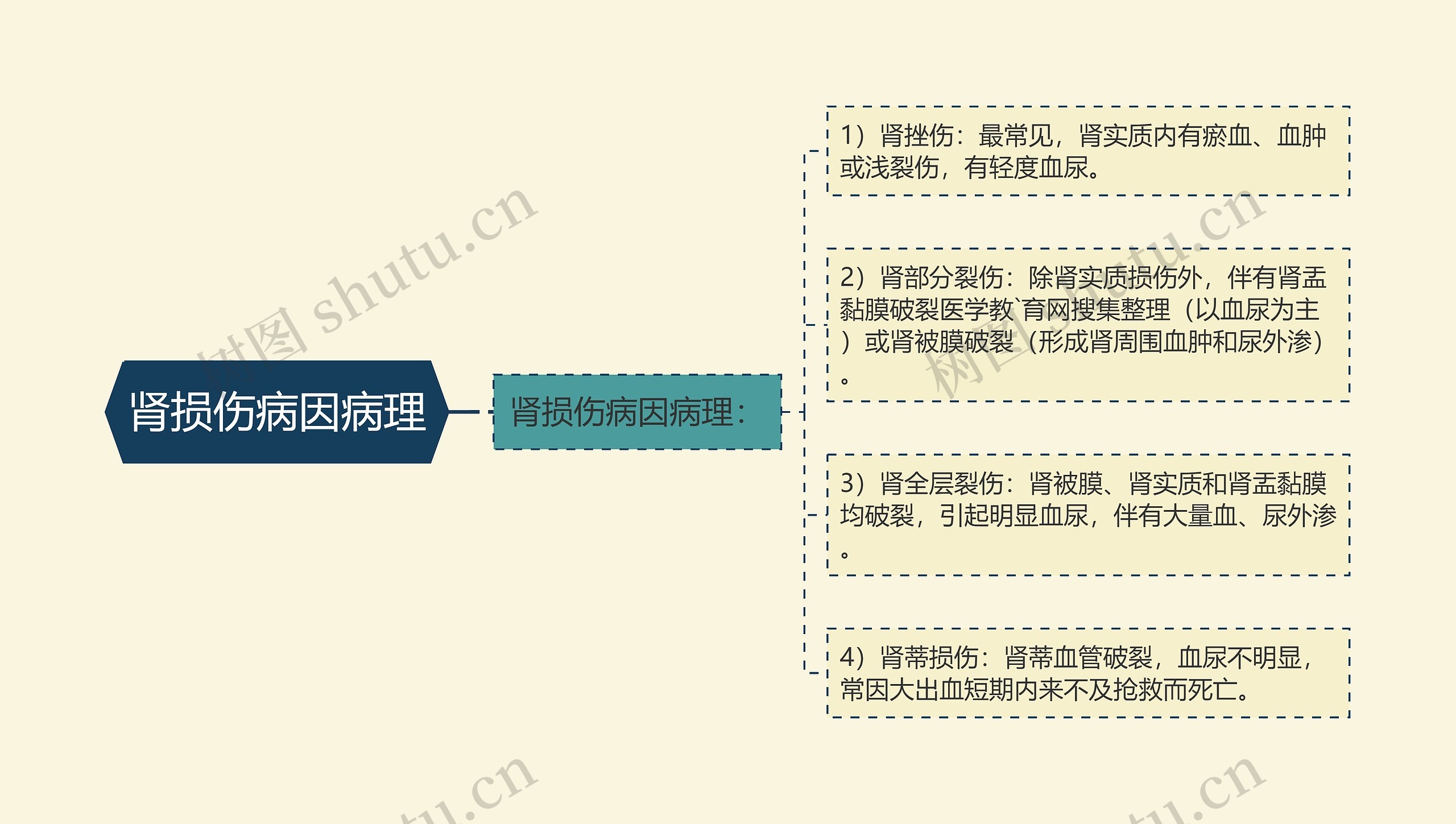 肾损伤病因病理