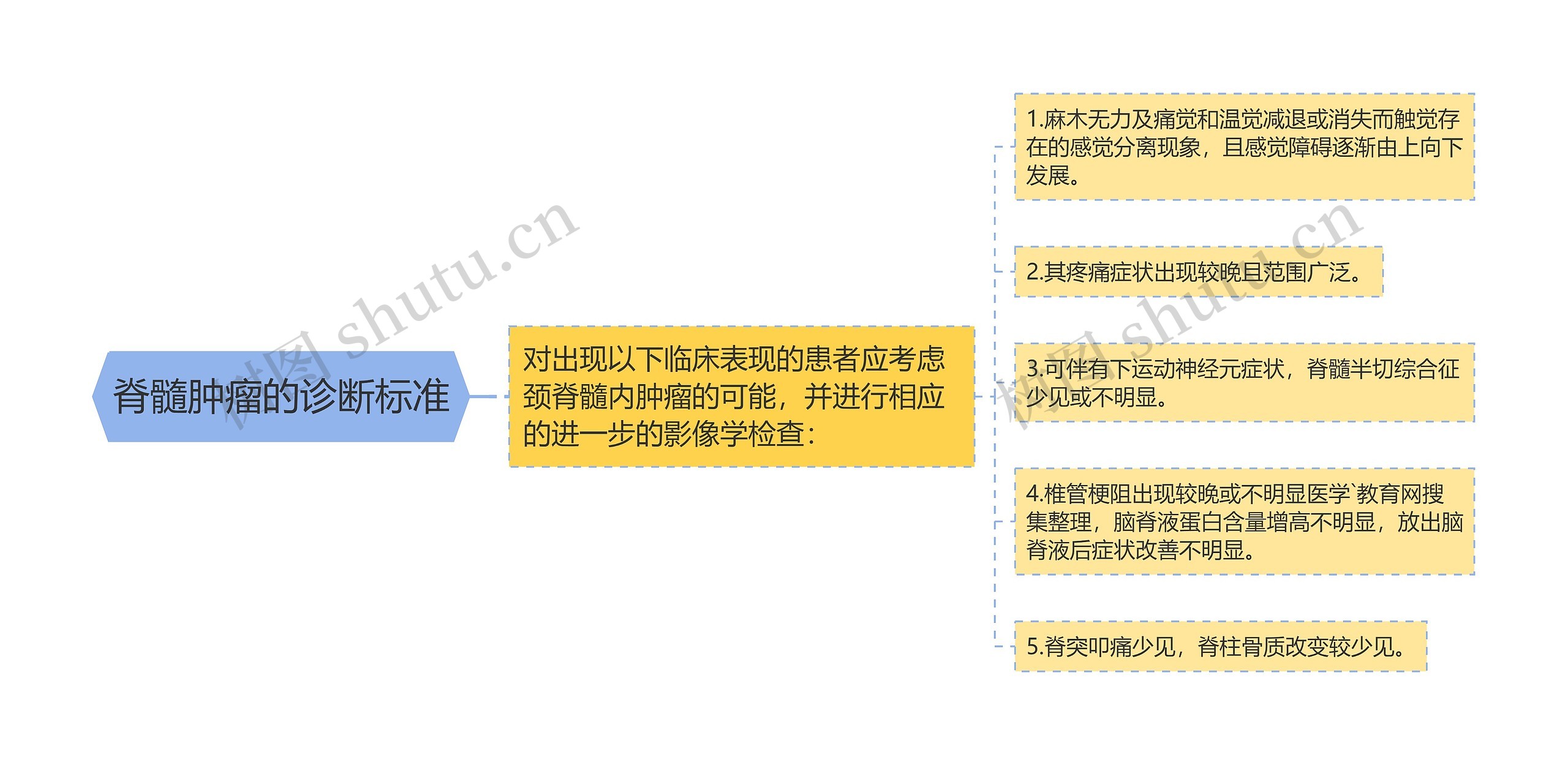 脊髓肿瘤的诊断标准思维导图