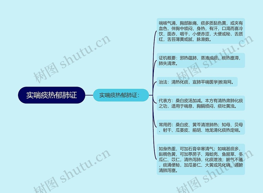 实喘痰热郁肺证思维导图_编号p6831044-TreeMind树图