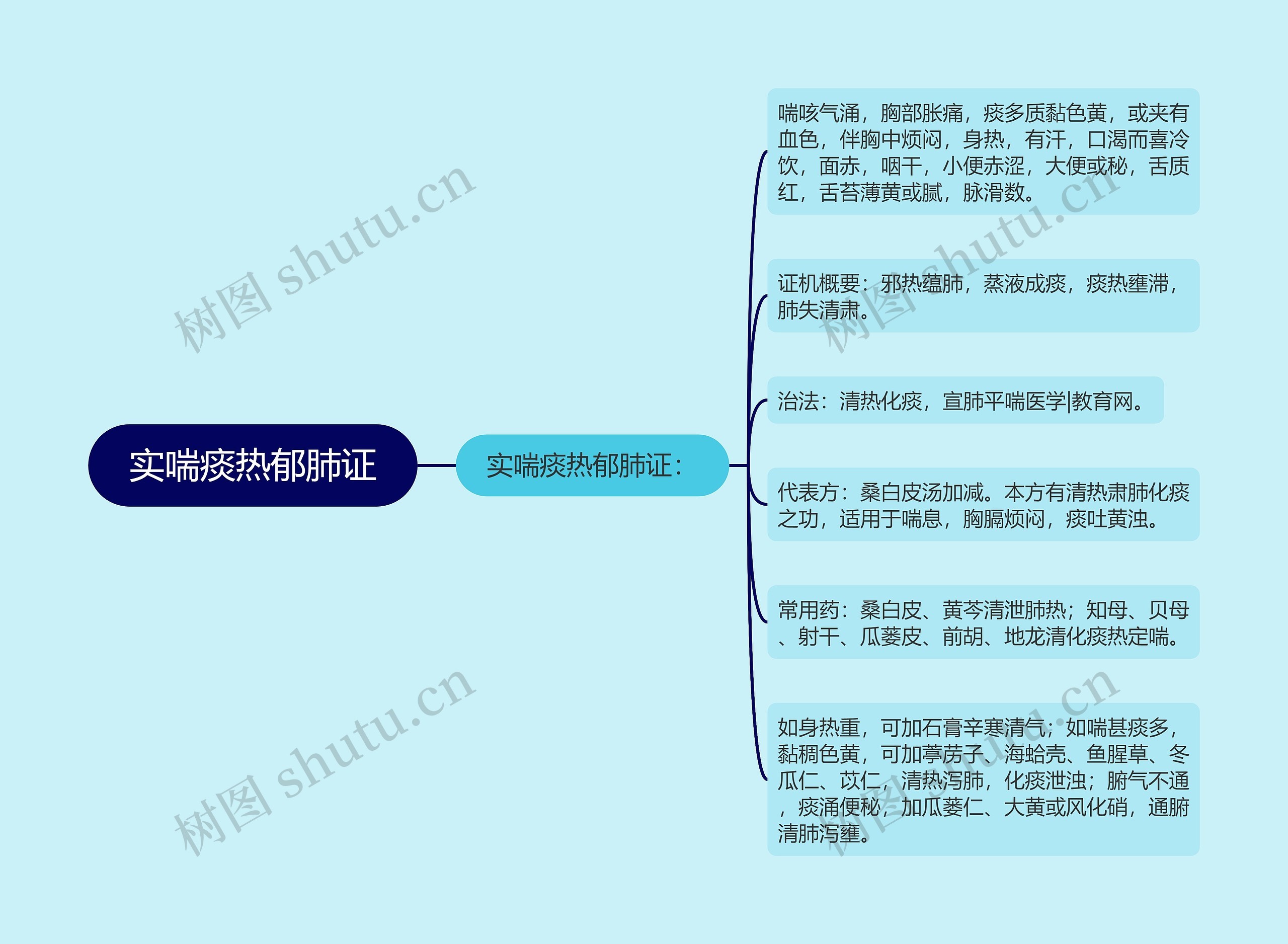 实喘痰热郁肺证