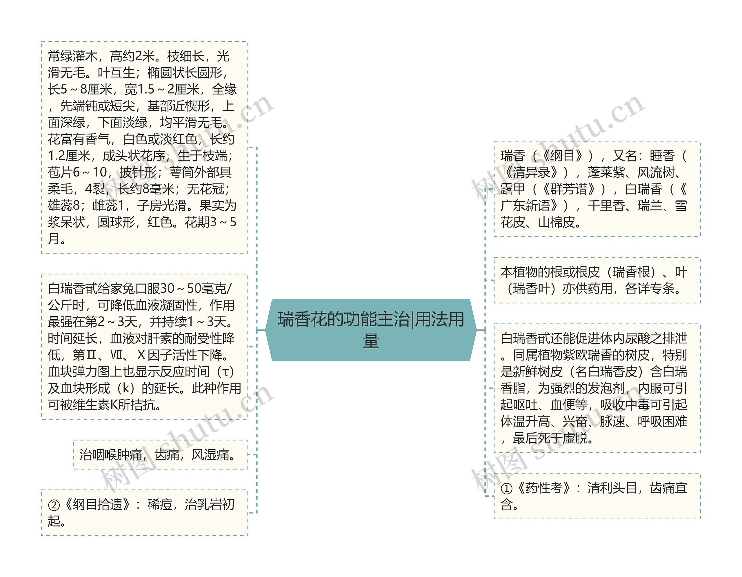 瑞香花的功能主治|用法用量 瑞香花的功能主治|用法用量