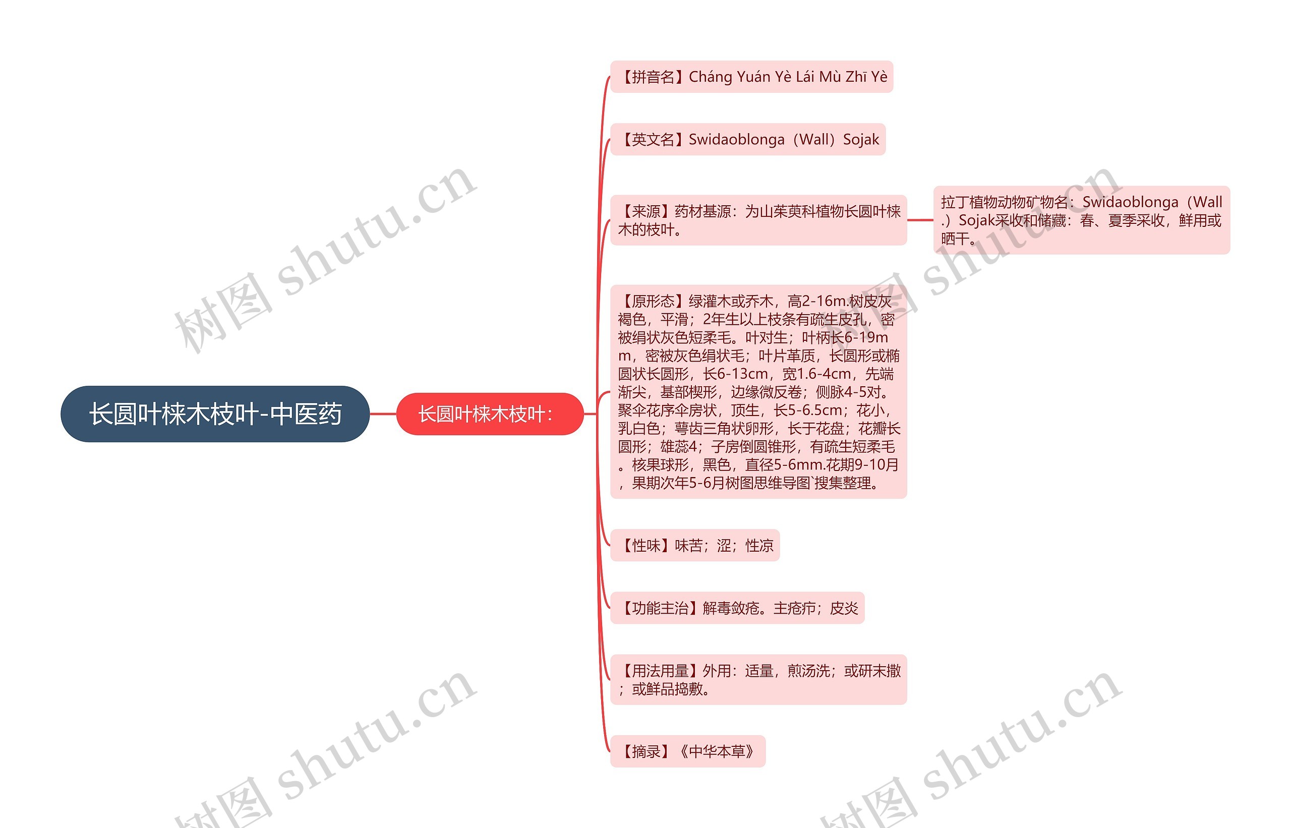 长圆叶梾木枝叶-中医药思维导图