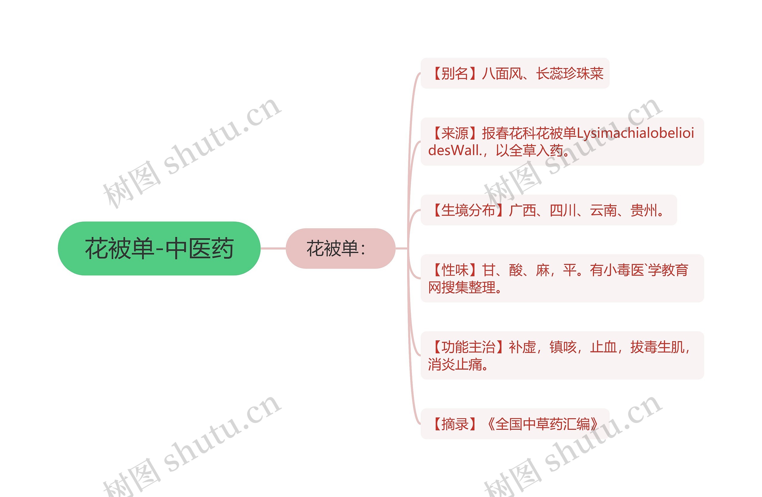 花被单-中医药思维导图