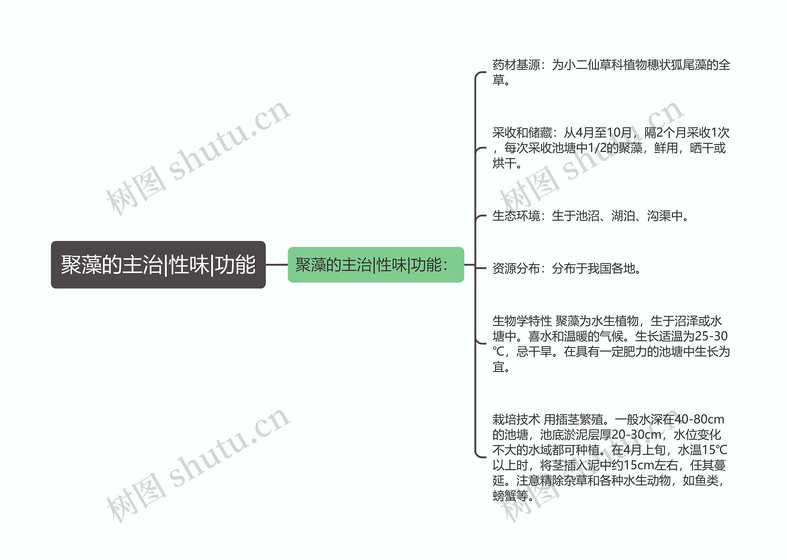 聚藻的主治|性味|功能思维导图