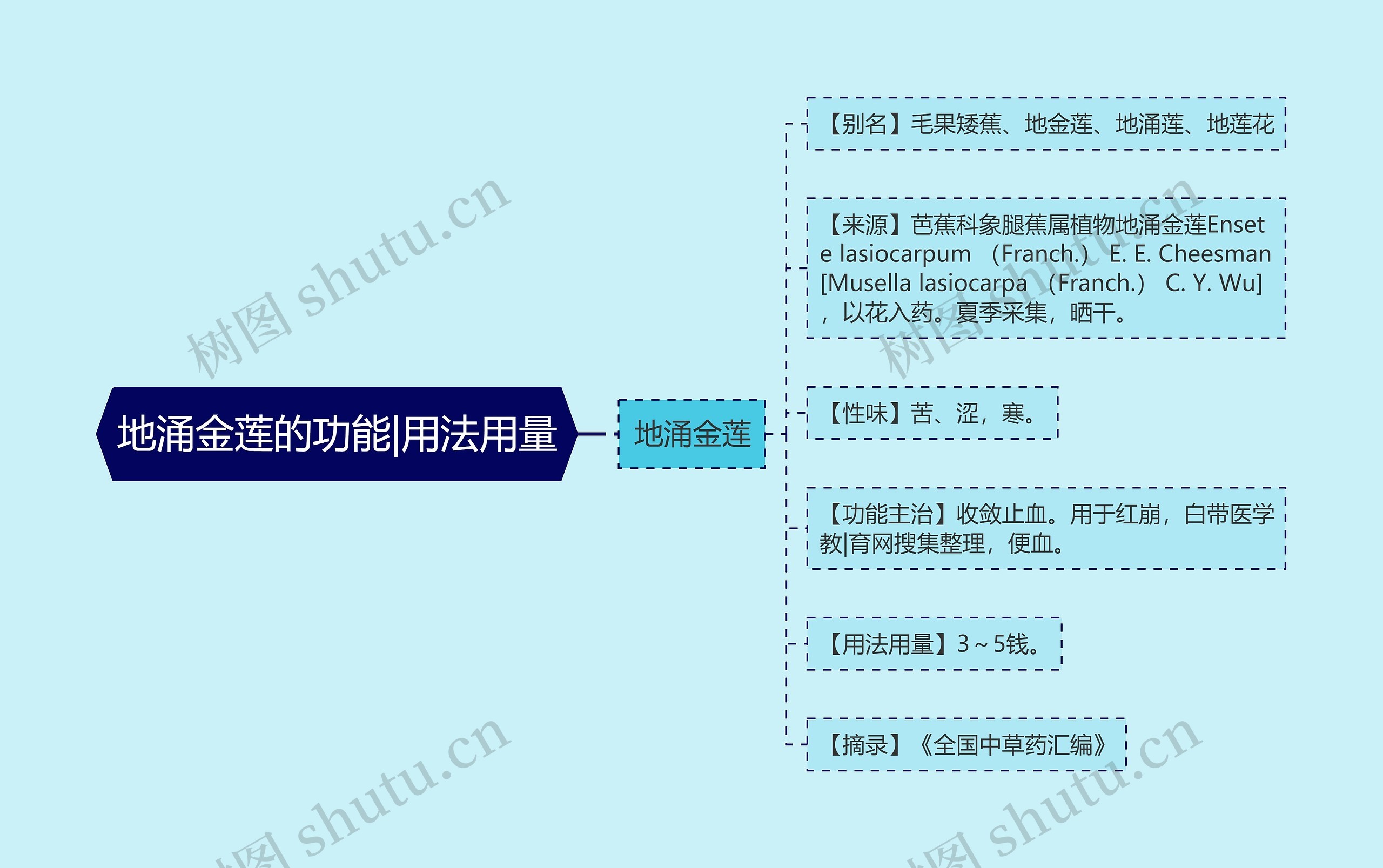 地涌金莲的功能|用法用量