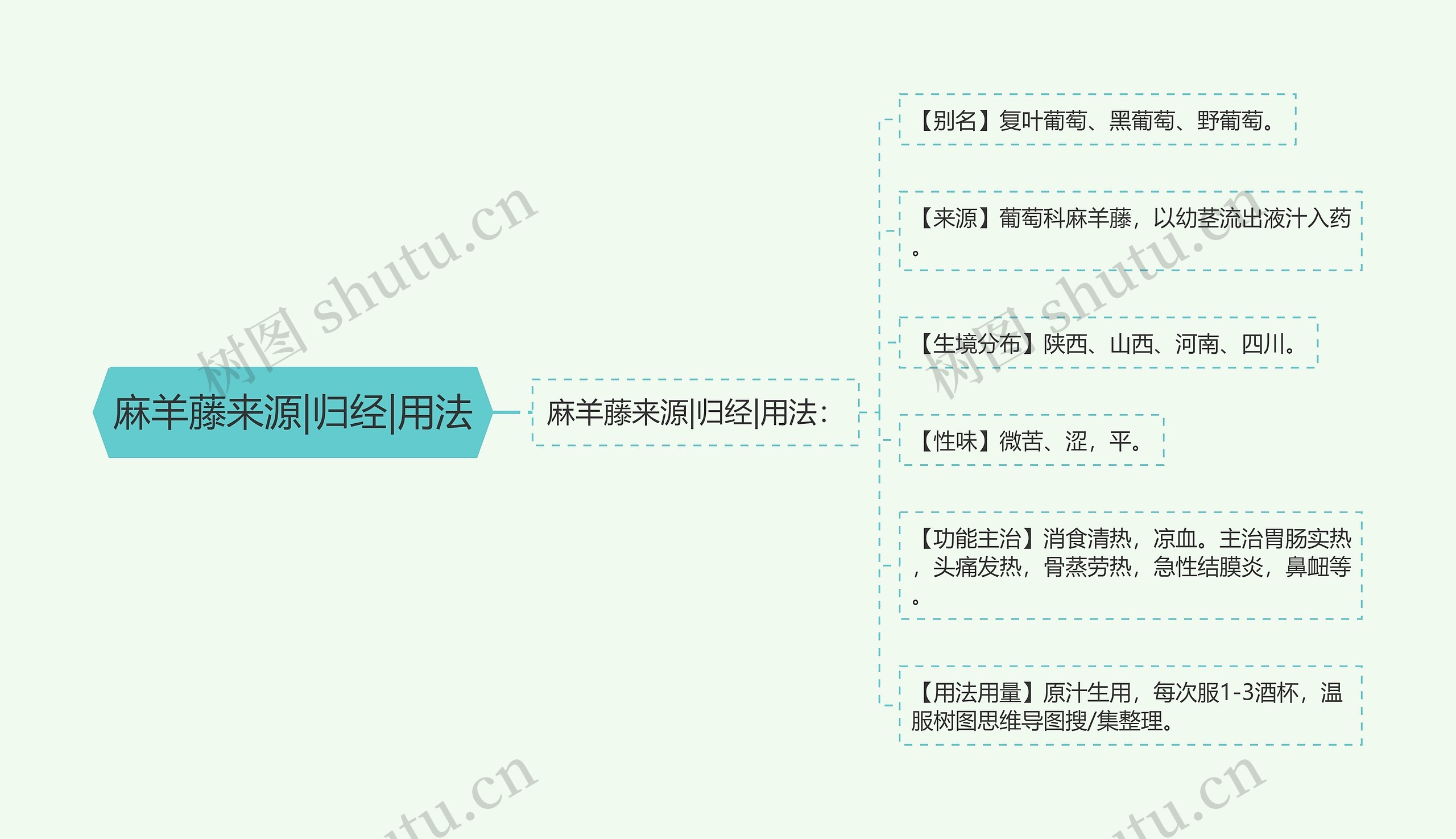 麻羊藤来源|归经|用法