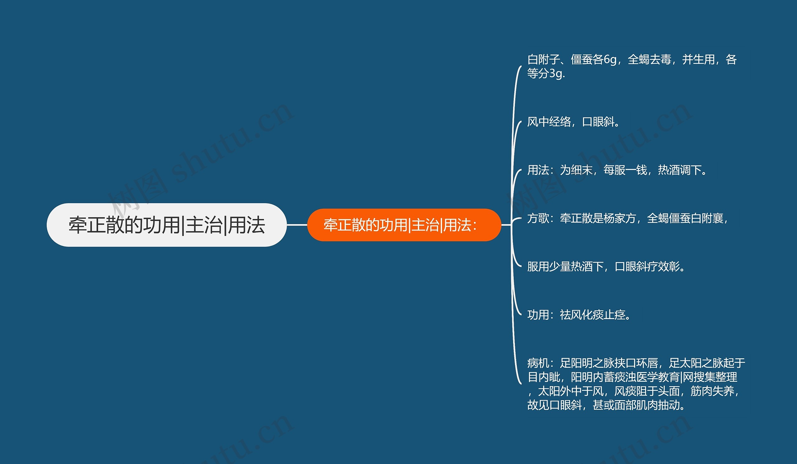 牵正散的功用|主治|用法思维导图