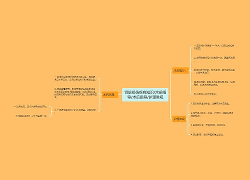 肾脏损伤疾病知识/术前指导/术后指导/护理常规