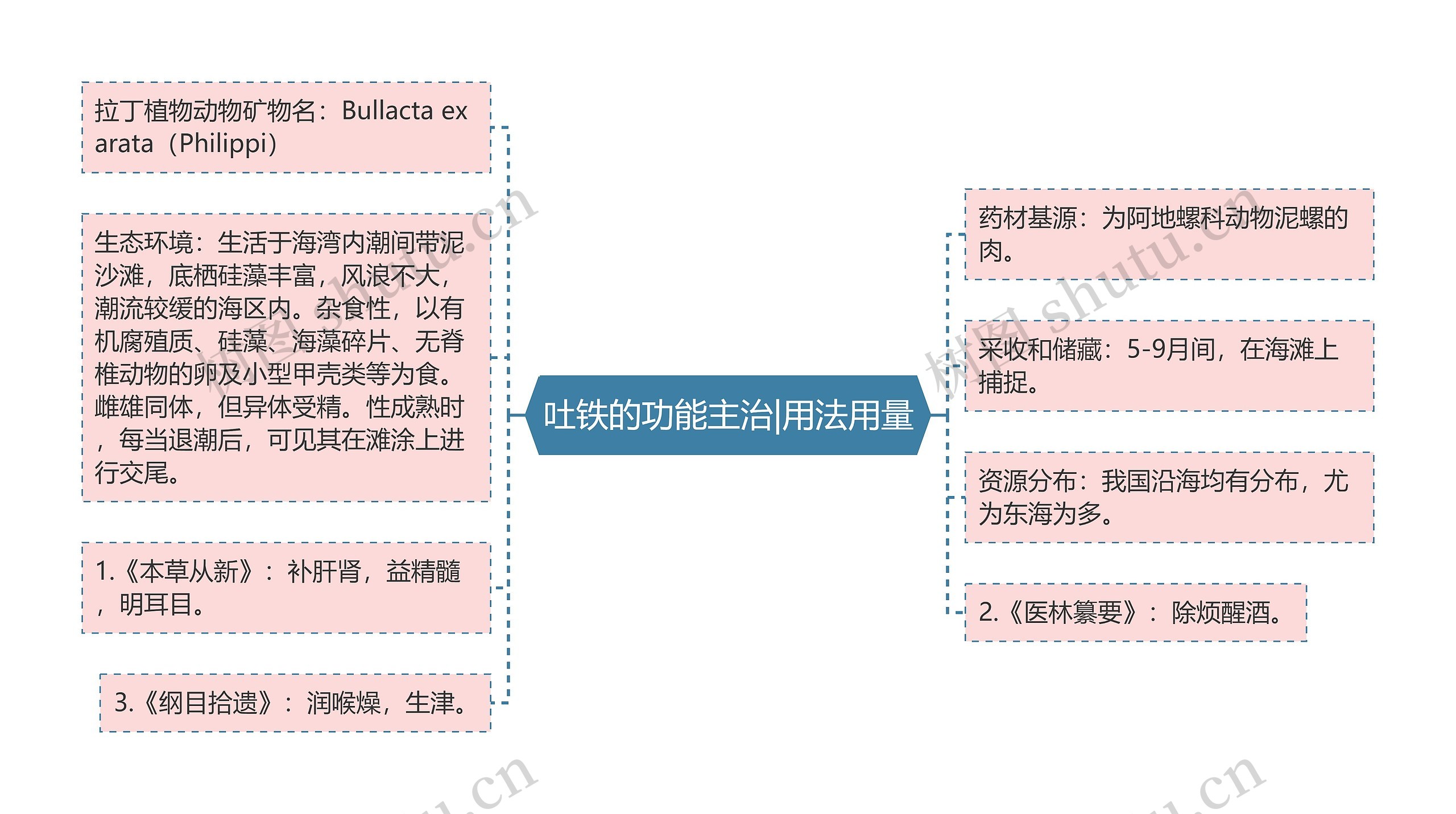 吐铁的功能主治|用法用量