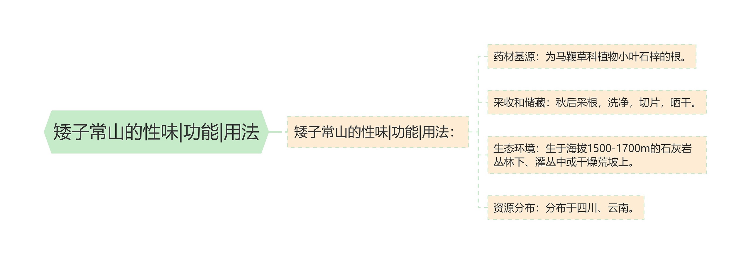 矮子常山的性味|功能|用法思维导图