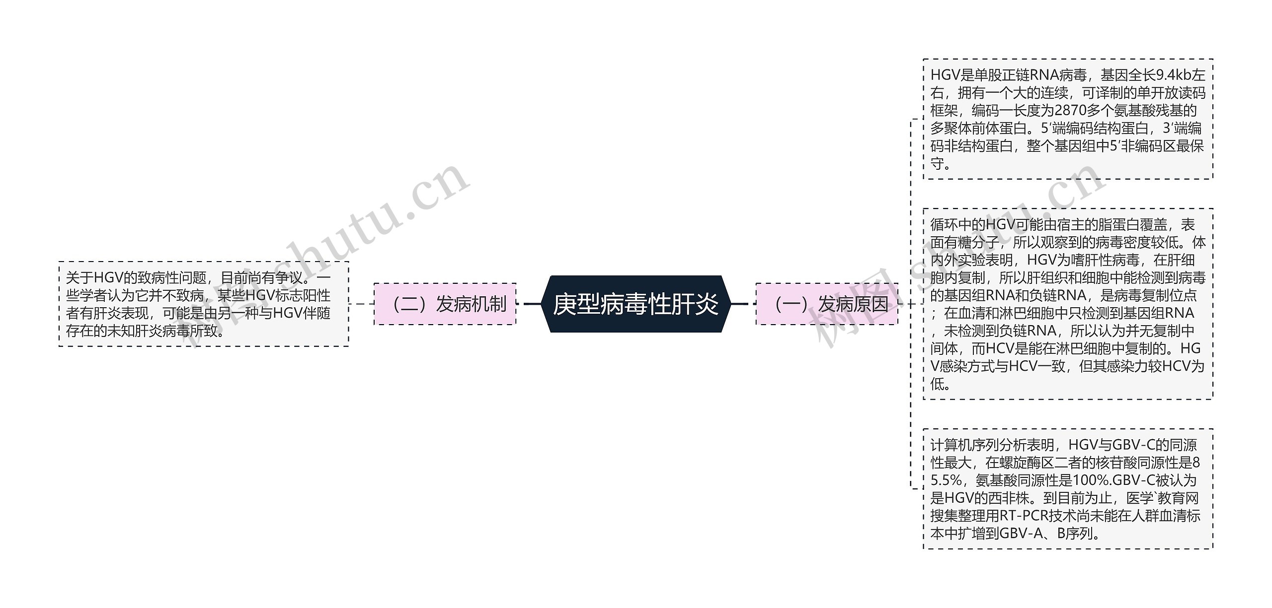 庚型病毒性肝炎