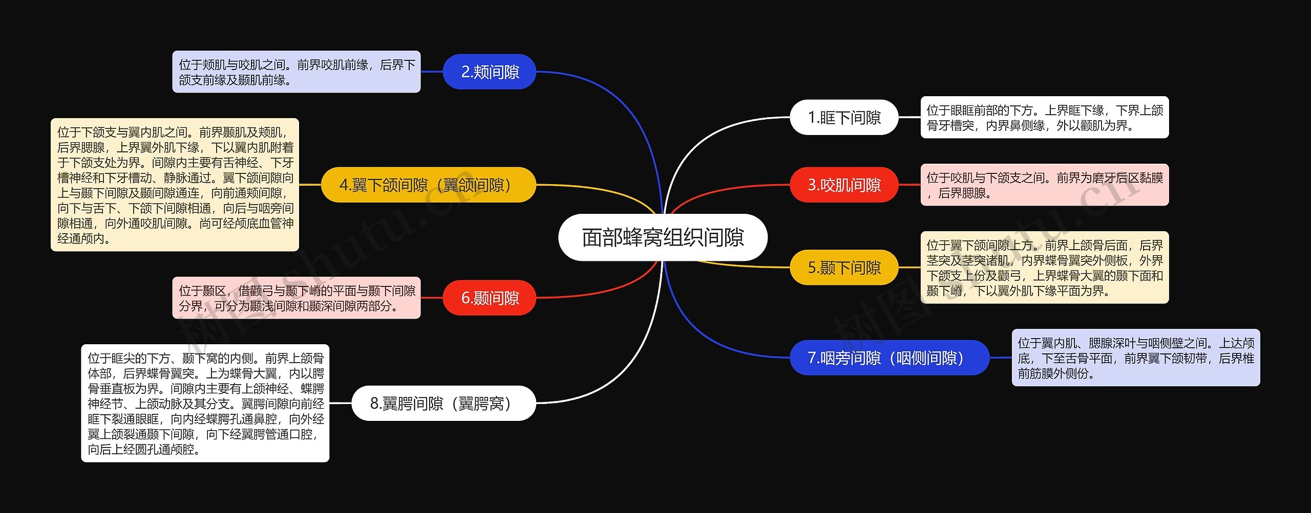 面部蜂窝组织间隙思维导图