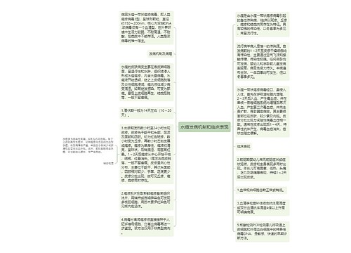 水痘发病机制和临床表现