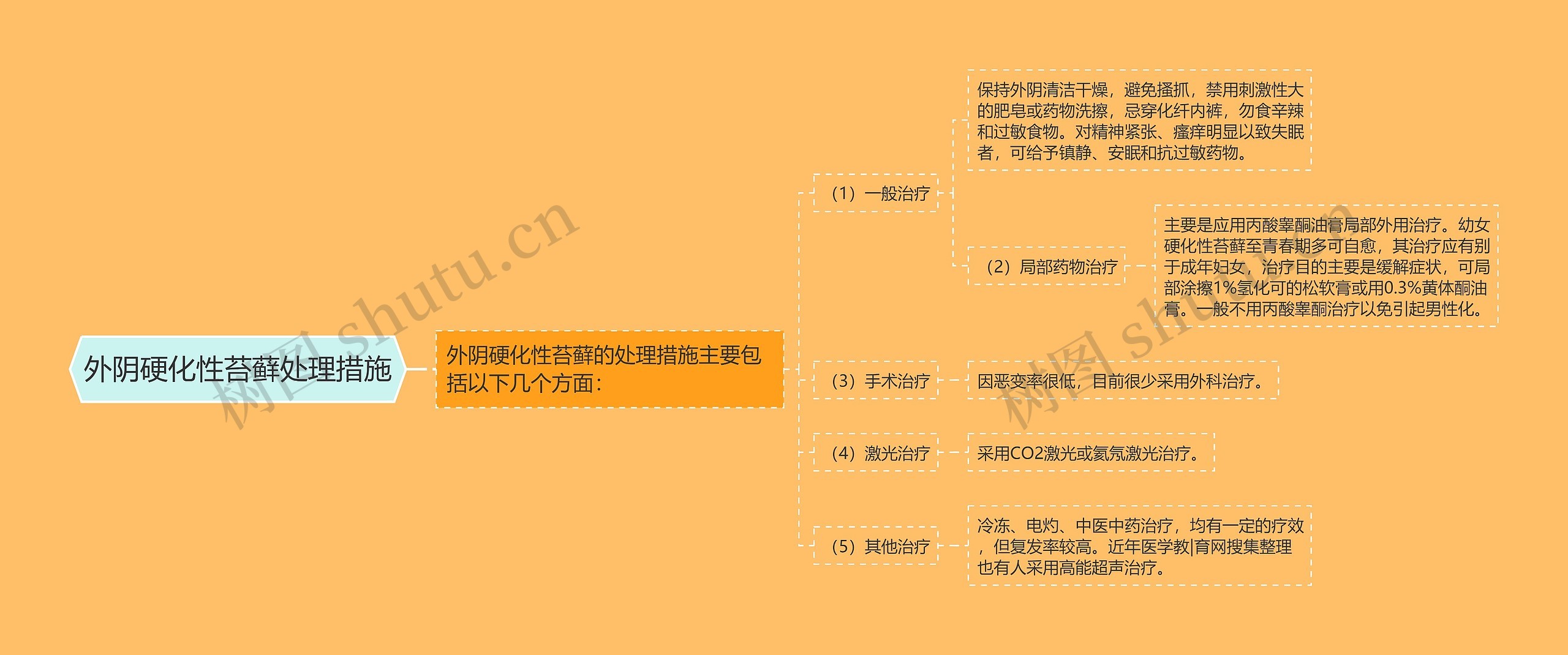 外阴硬化性苔藓处理措施