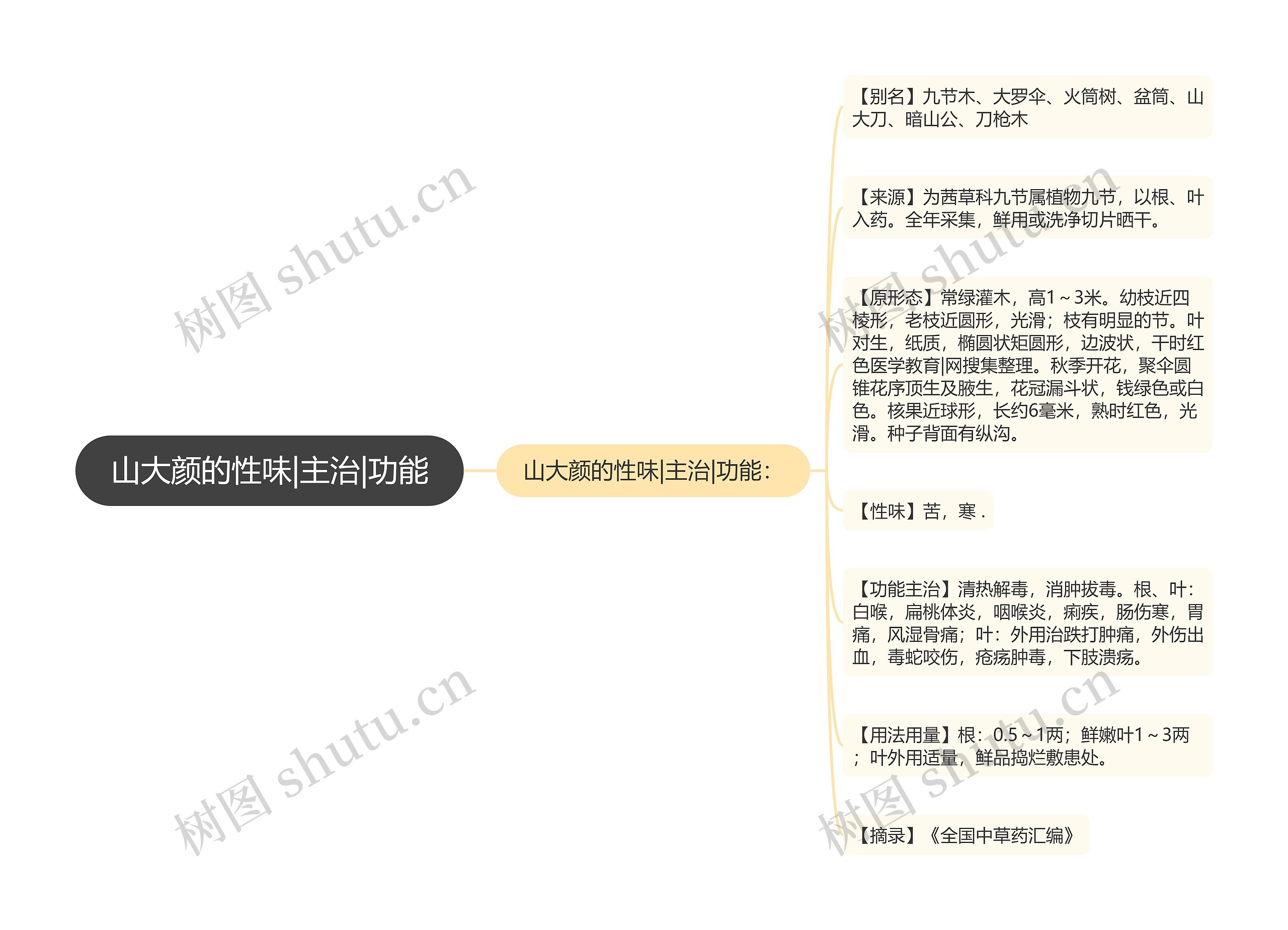 山大颜的性味|主治|功能思维导图