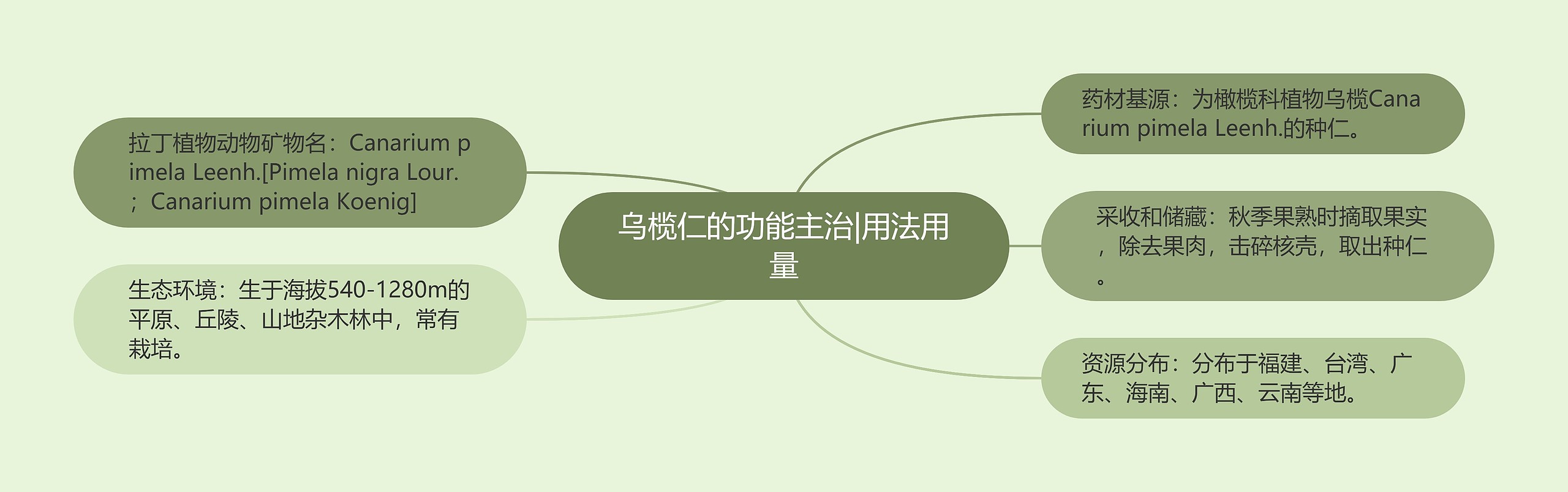 乌榄仁的功能主治|用法用量