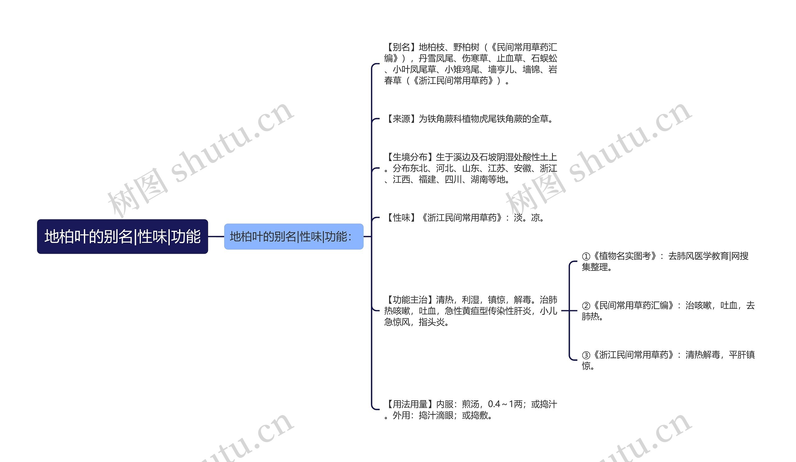 地柏叶的别名|性味|功能思维导图