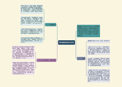 唾液腺的组织结构