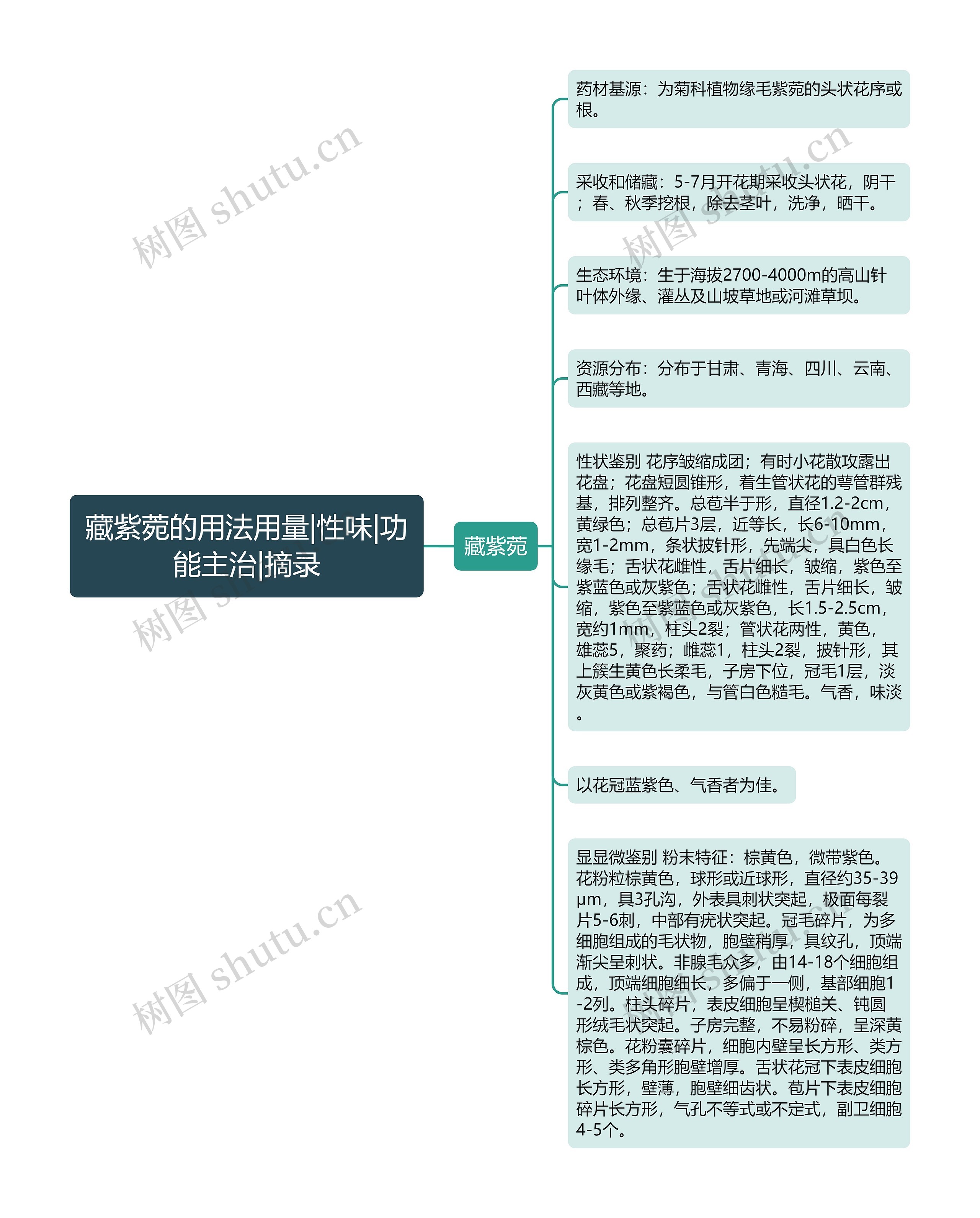 藏紫菀的用法用量|性味|功能主治|摘录思维导图