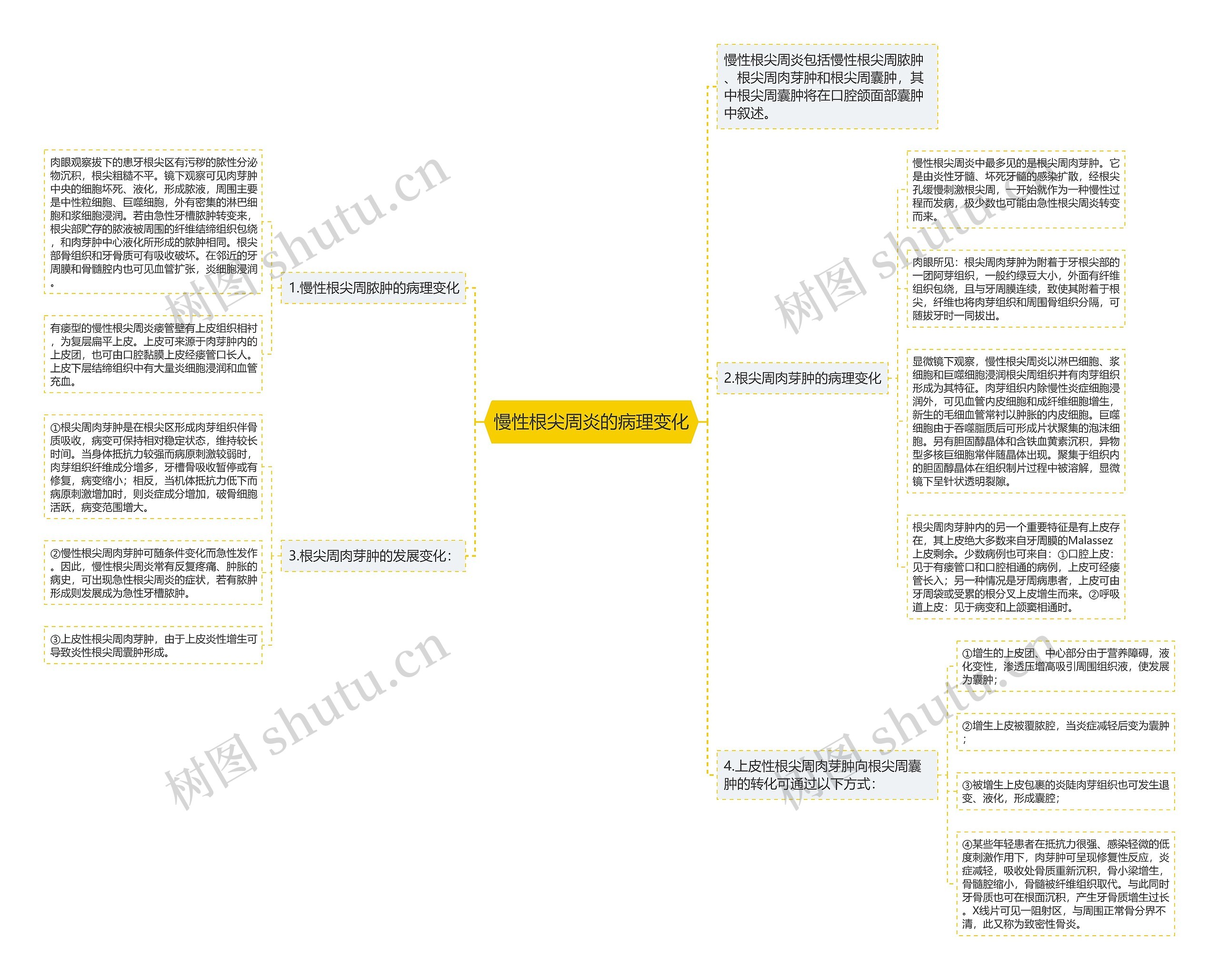 慢性根尖周炎的病理变化思维导图