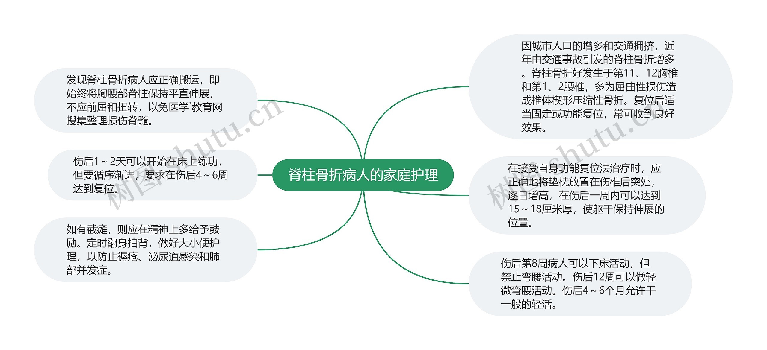 脊柱骨折病人的家庭护理思维导图