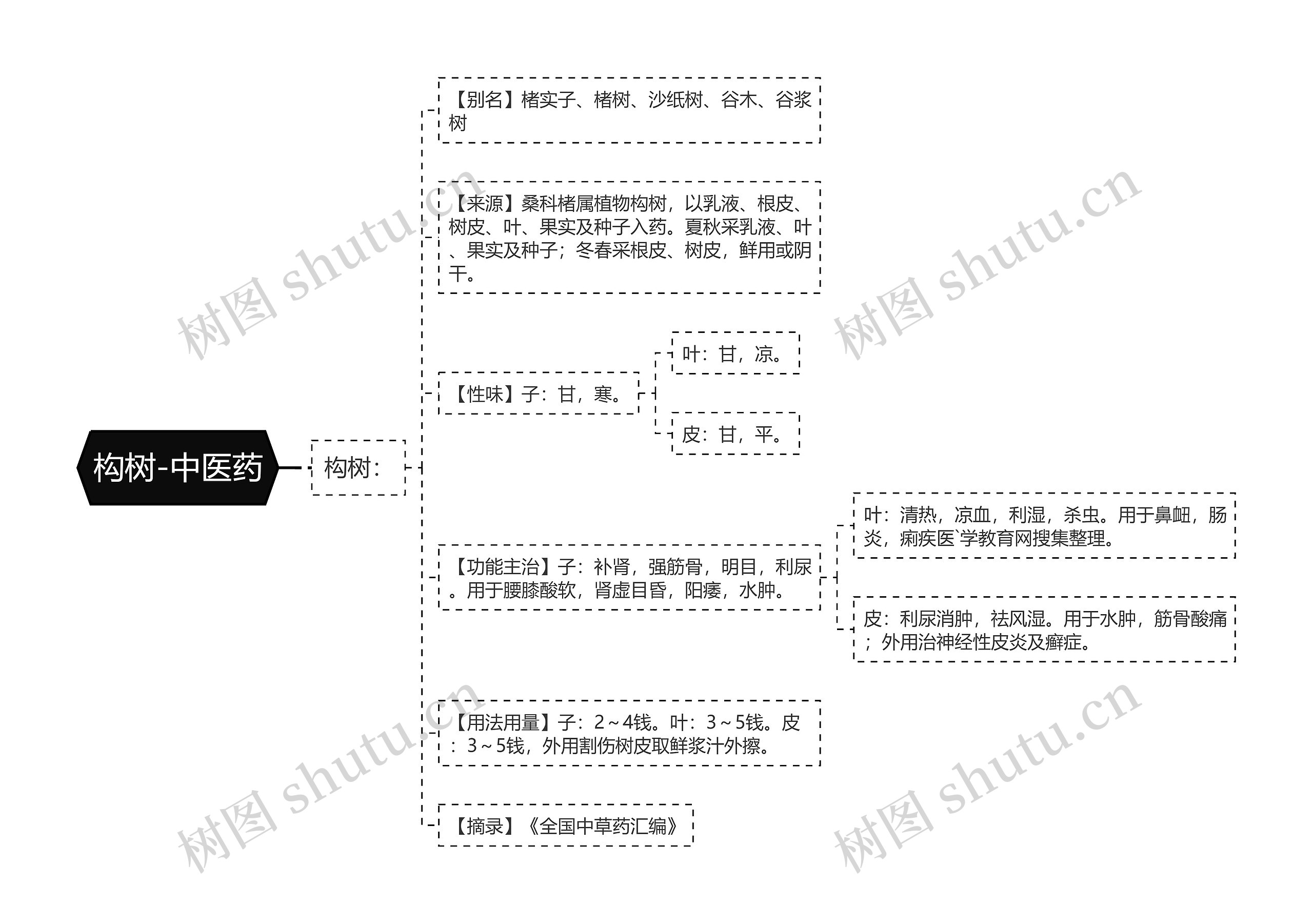 构树-中医药 构树-中医药