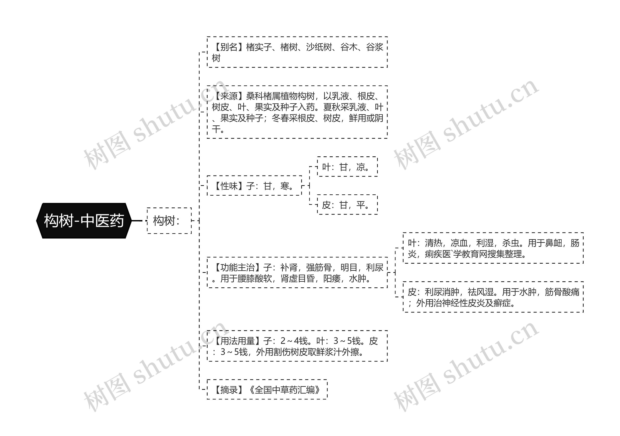 构树-中医药思维导图