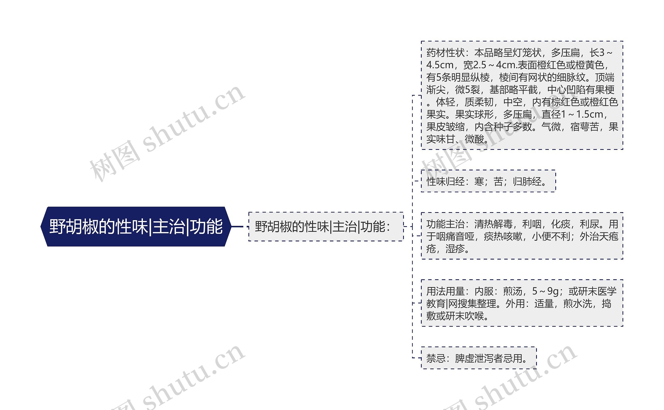 野胡椒的性味|主治|功能思维导图