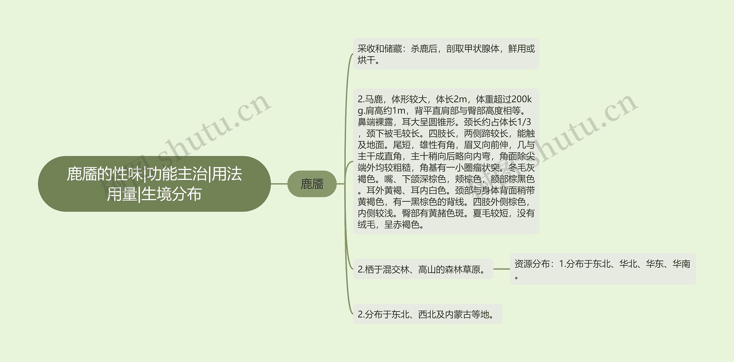 鹿靥的性味|功能主治|用法用量|生境分布 鹿靥的性味|功能主治|用法用量|生境分布