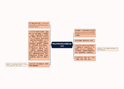 野杜仲果的用法用量|功能主治