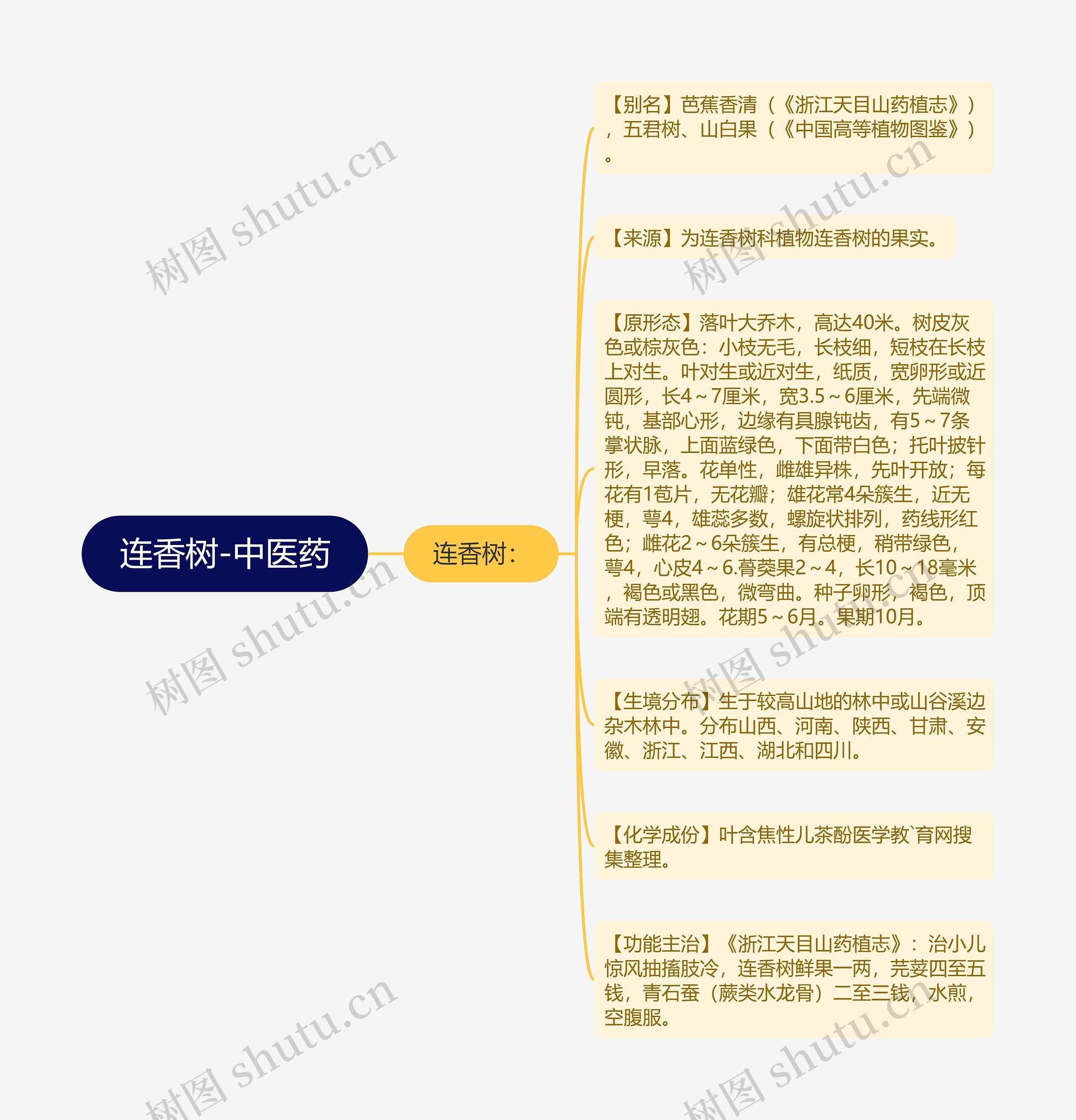 连香树-中医药思维导图