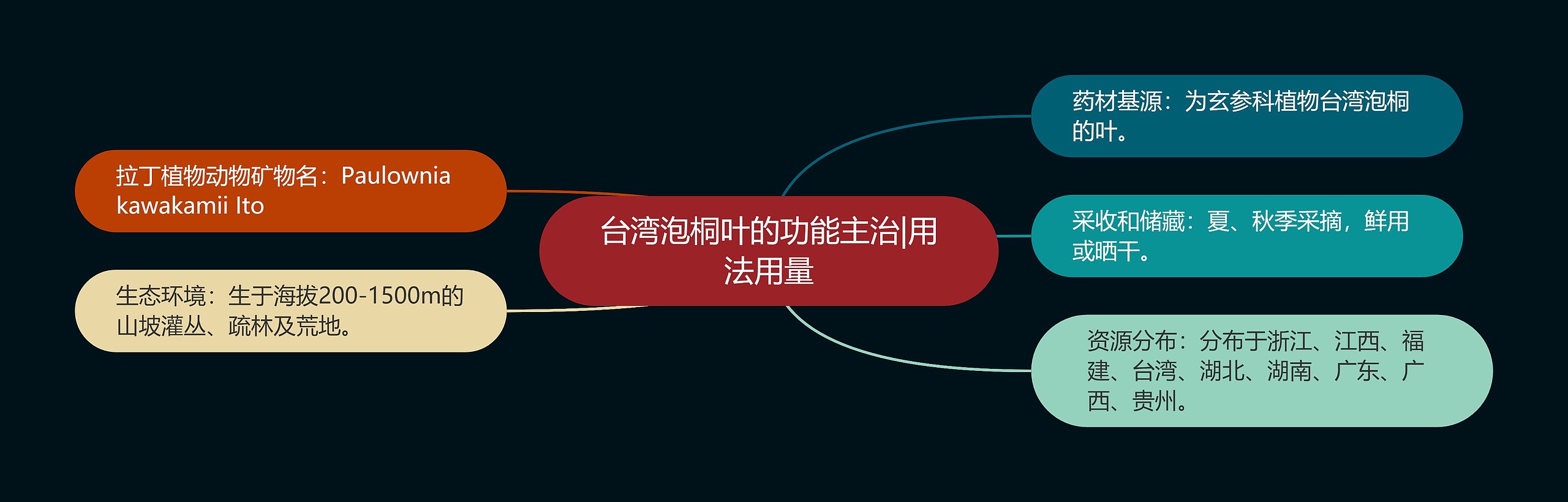 台湾泡桐叶的功能主治|用法用量 台湾泡桐叶的功能主治|用法用量