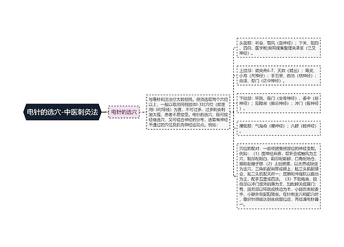 电针的选穴-中医刺灸法