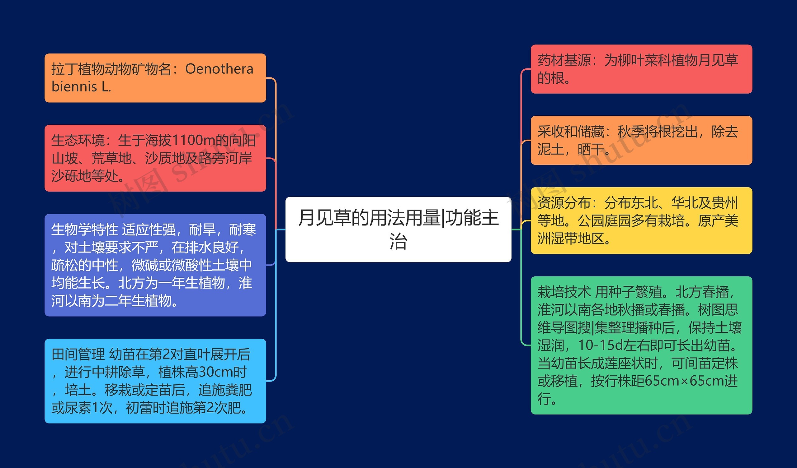 月见草的用法用量|功能主治 月见草的用法用量|功能主治