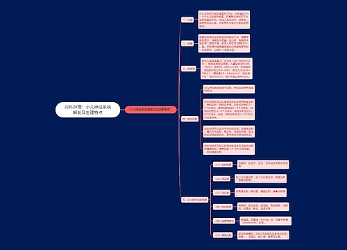 内科护理：小儿神经系统解剖及生理特点