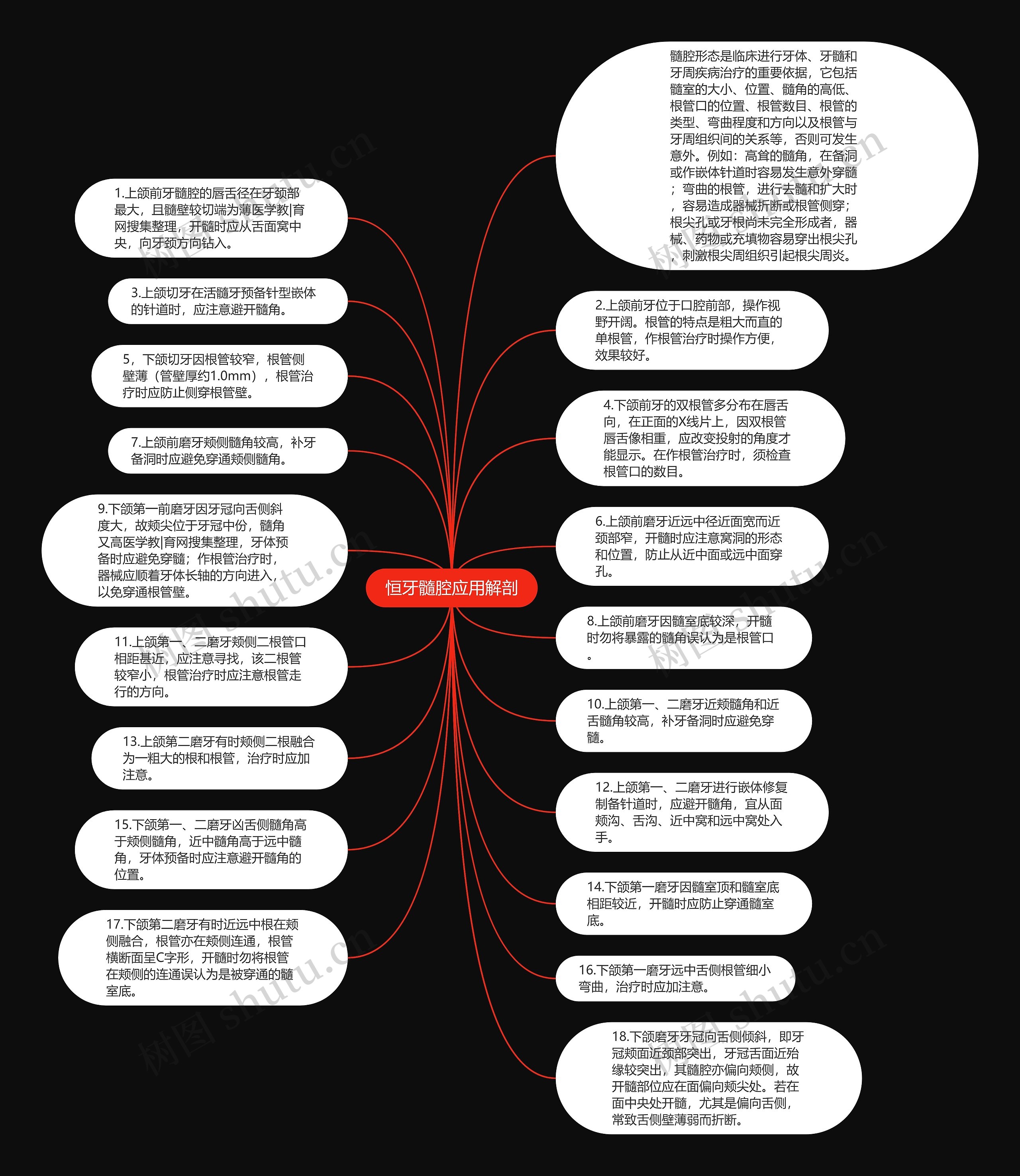 恒牙髓腔应用解剖思维导图