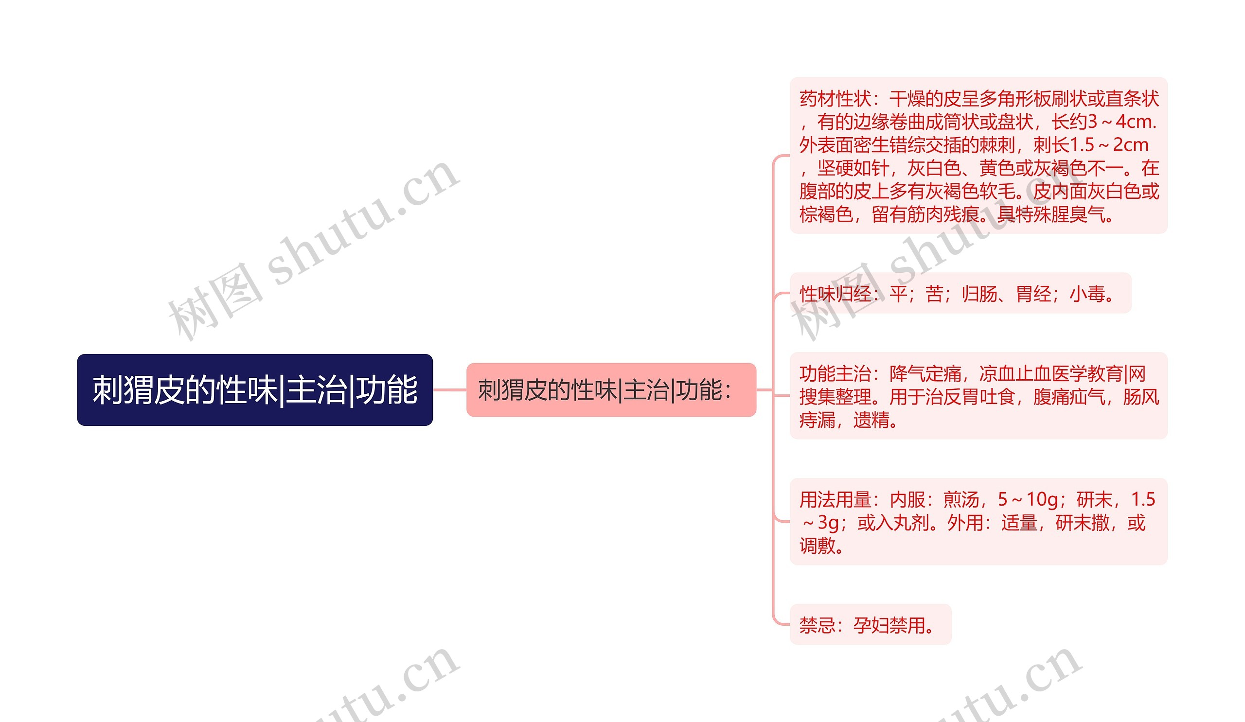 刺猬皮的性味|主治|功能思维导图