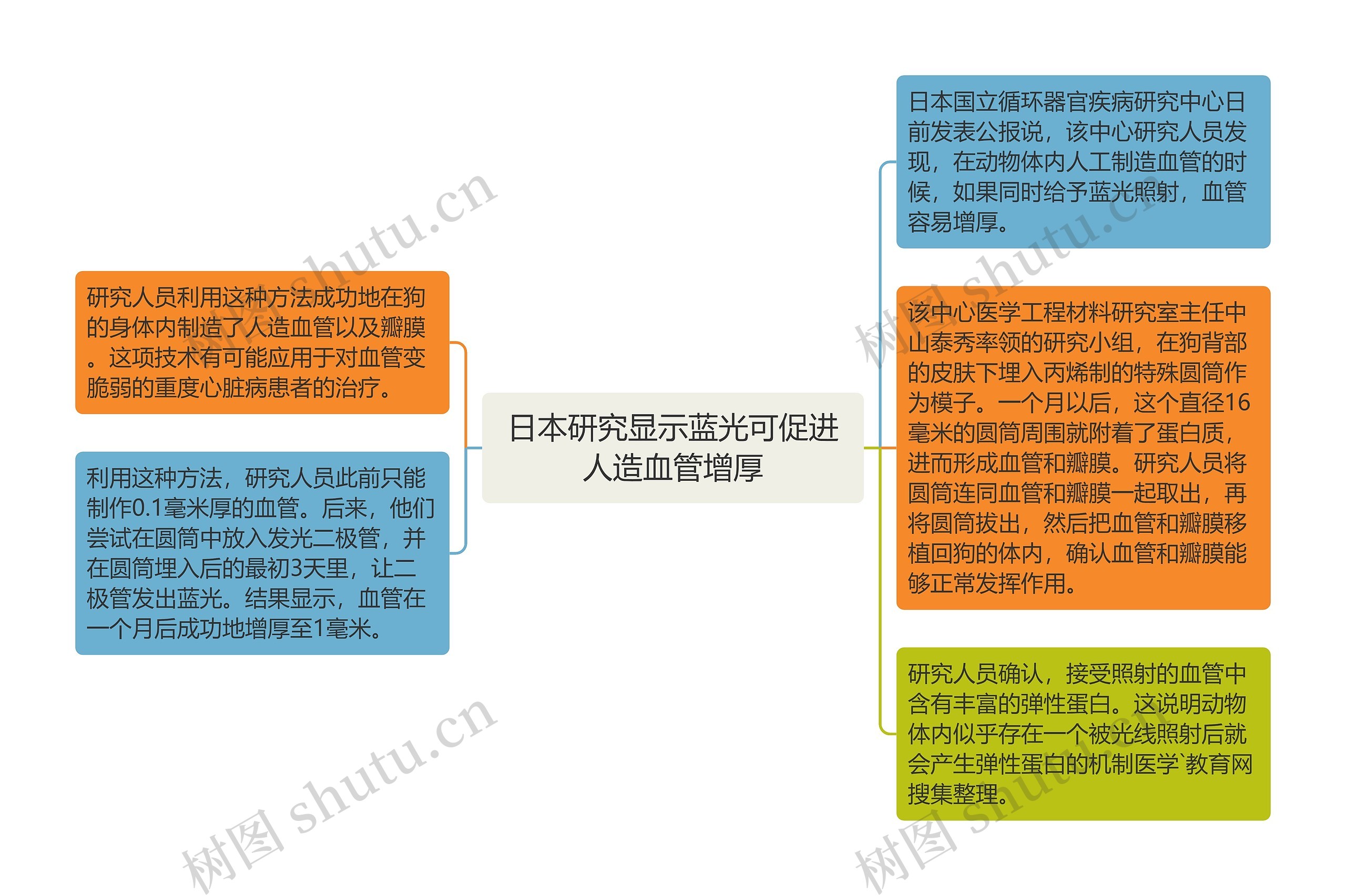 日本研究显示蓝光可促进人造血管增厚思维导图