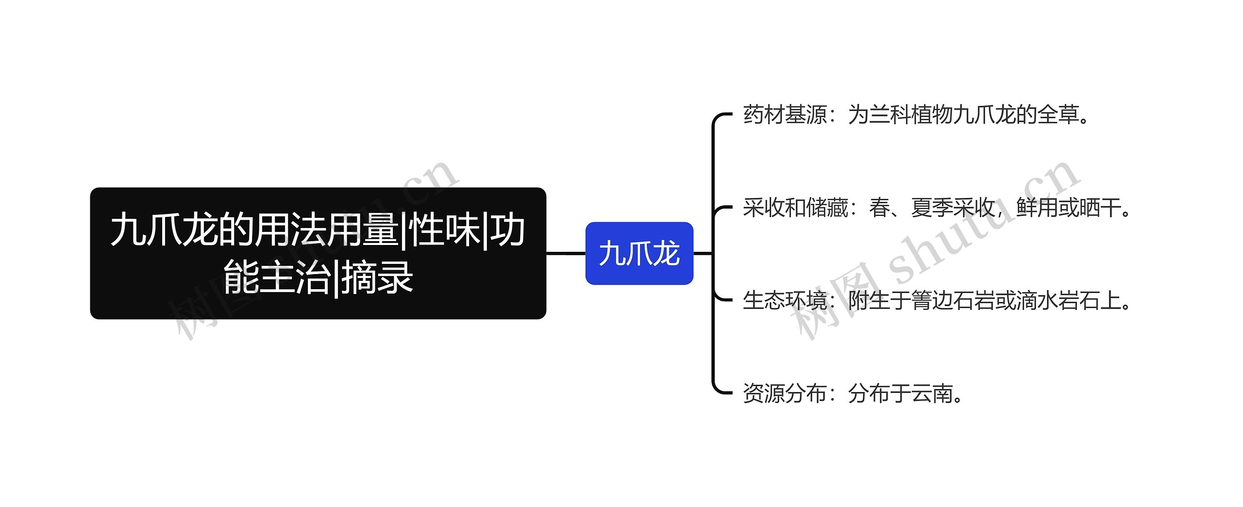 九爪龙的用法用量|性味|功能主治|摘录