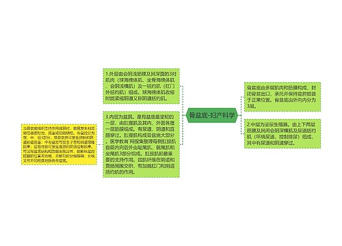 骨盆底-妇产科学