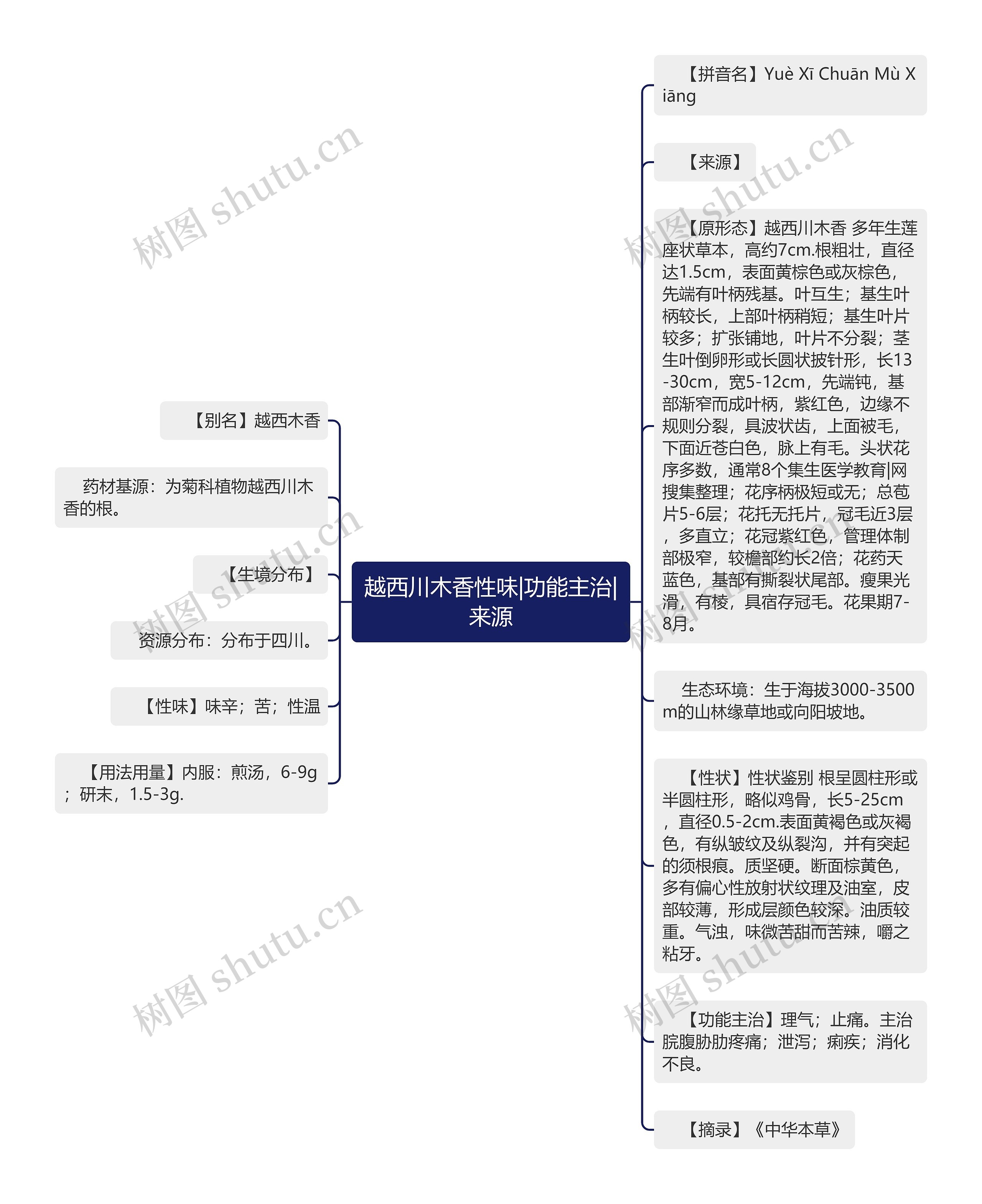 越西川木香性味|功能主治|来源思维导图