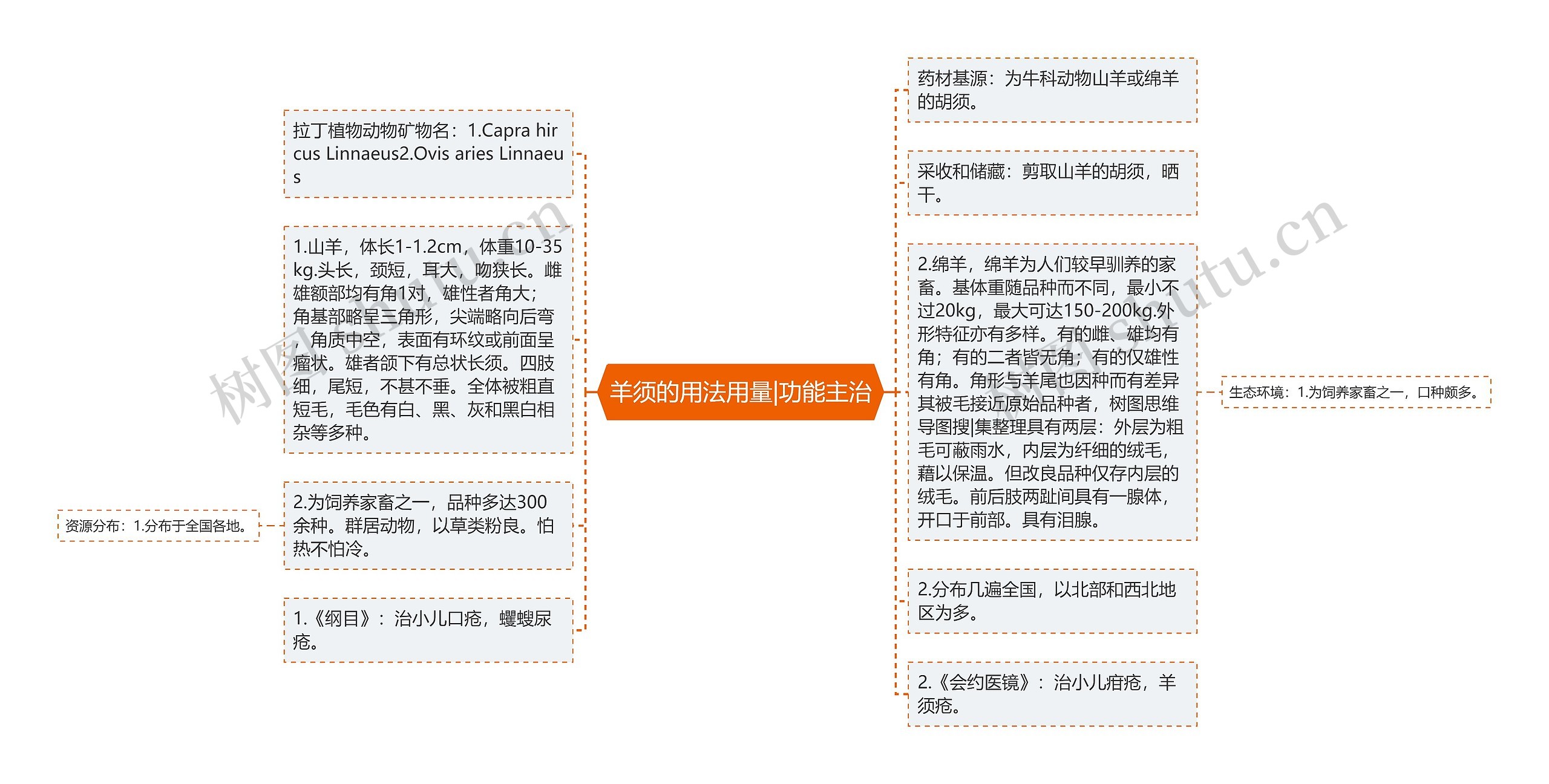 羊须的用法用量|功能主治思维导图