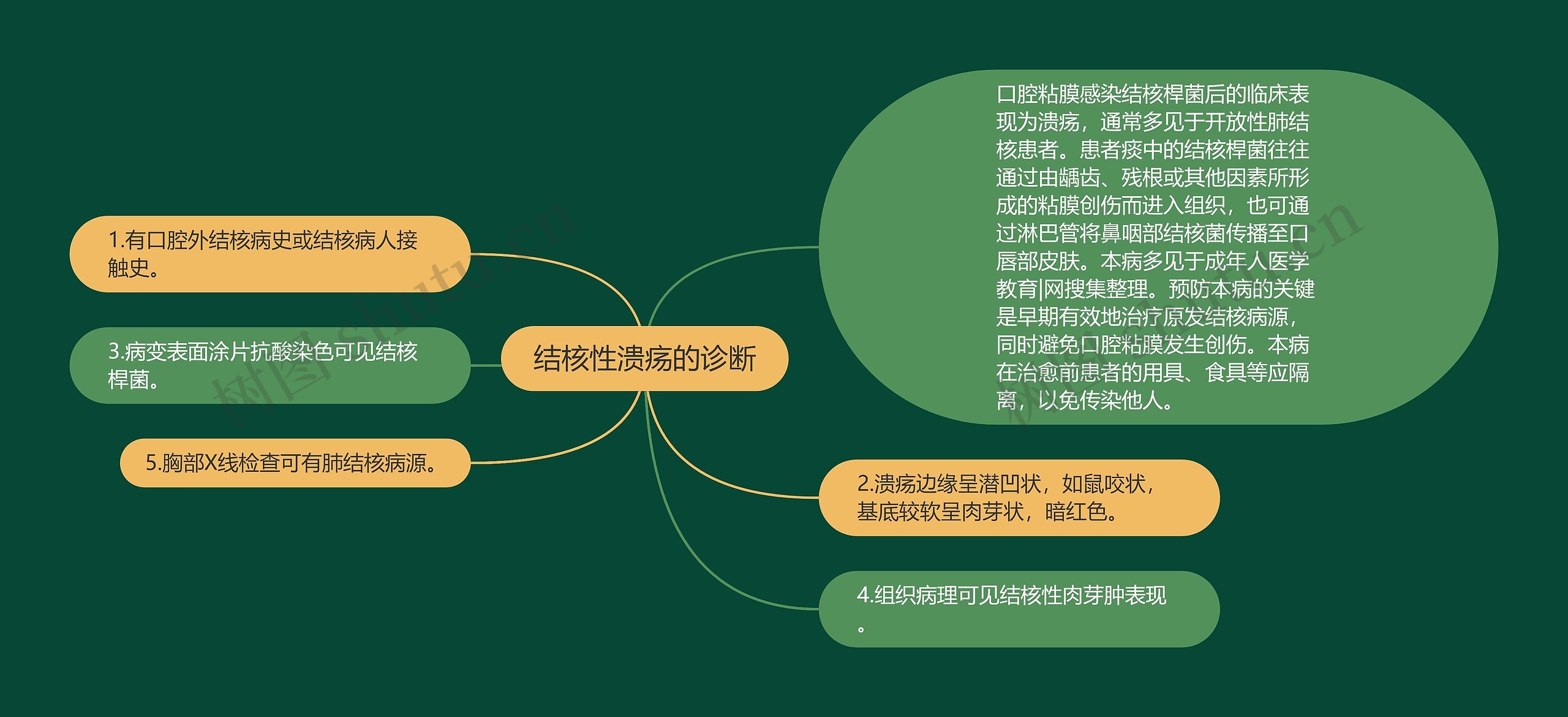 结核性溃疡的诊断思维导图