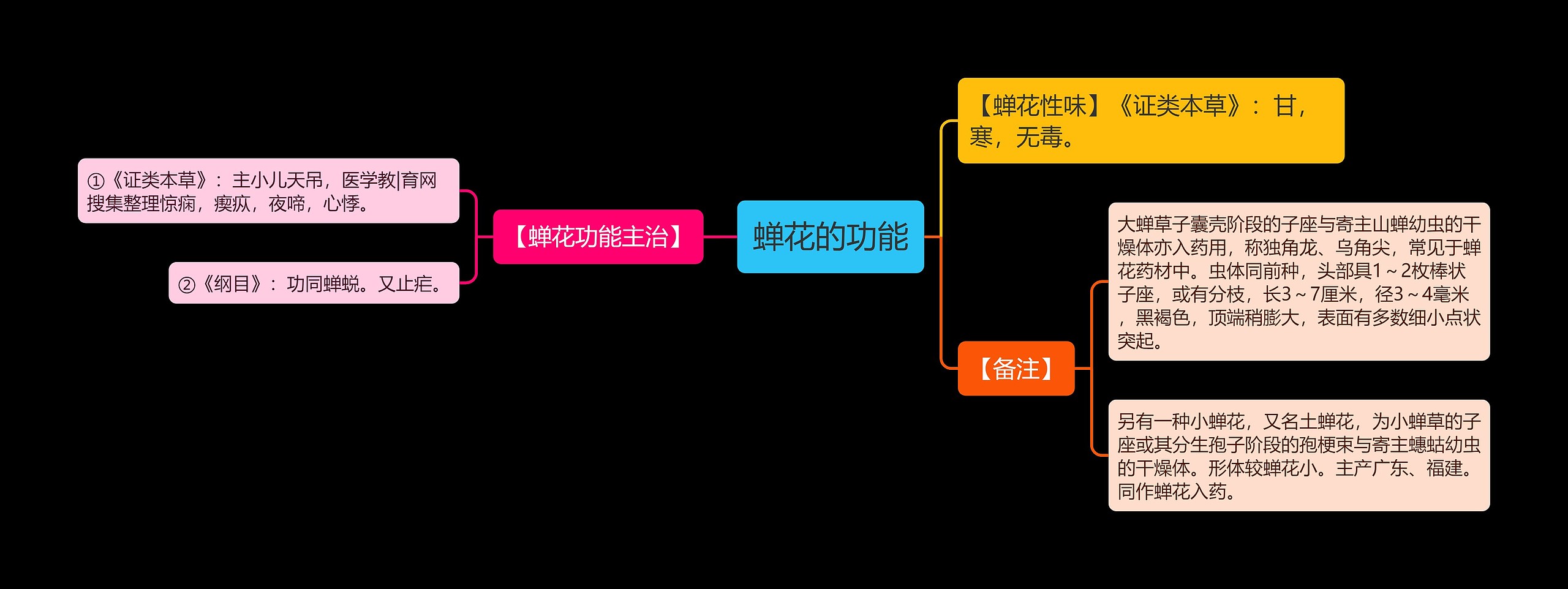 蝉花的功能思维导图